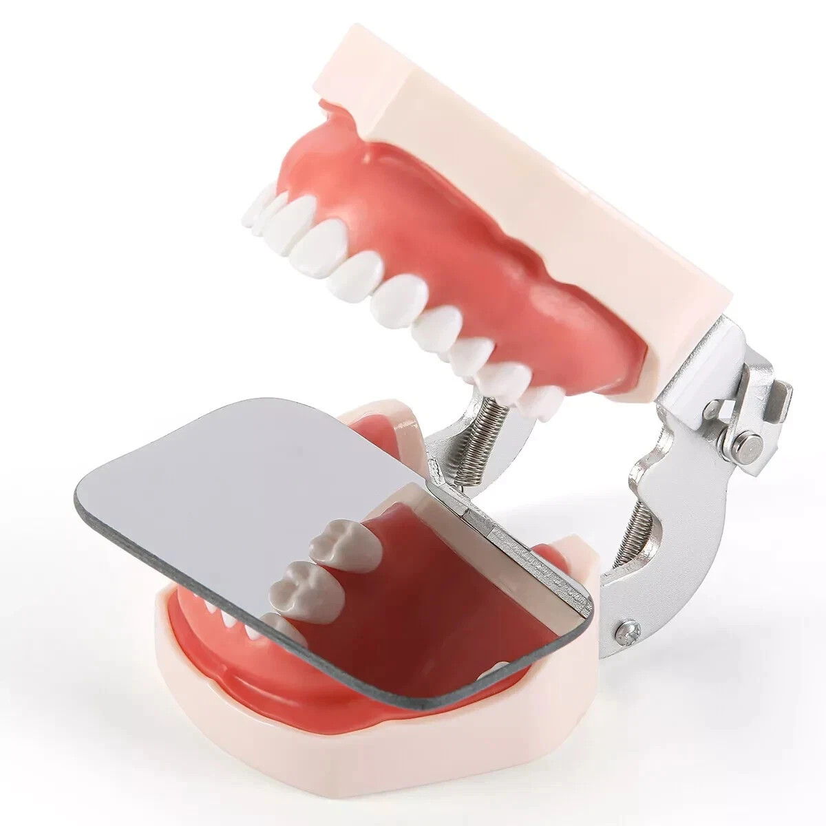 Dental Intraoral Double-Sided Photo Mirror Reflector Glass Photography Mirrors