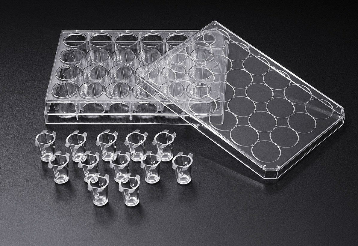 SPL Inserts Hanging, PET membrane, 0.4µm pore, Transparent, diameter 6.5 mm,Ster