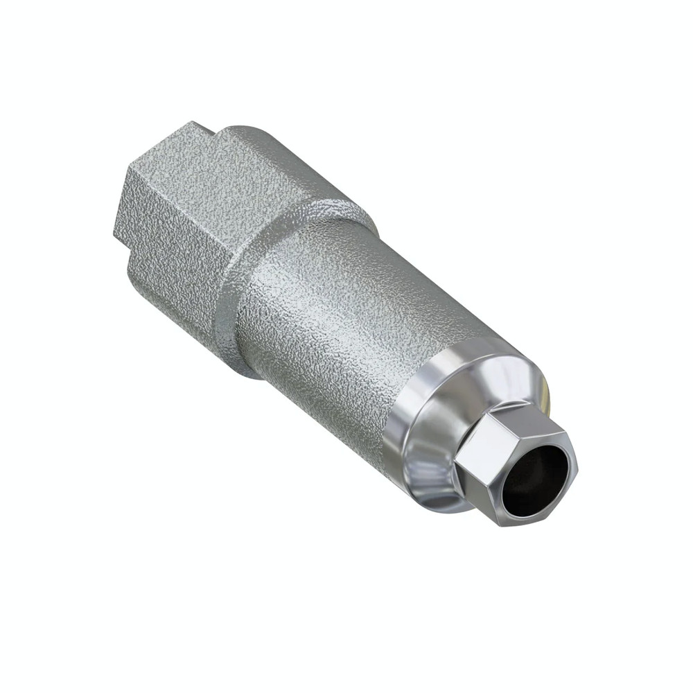 Dental DSI Titanium Scan Post Body + Screw RP Ø3.7mm Int Hex 2.42 Fixture level