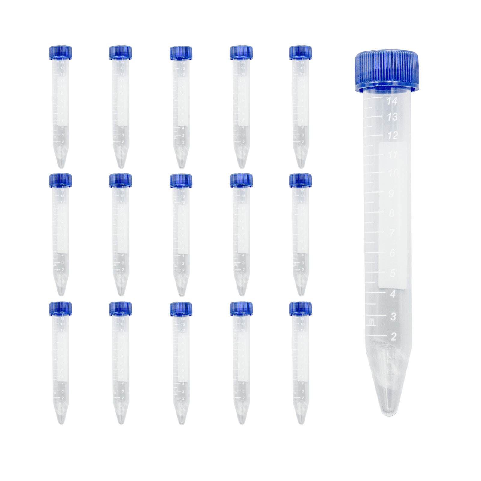15mL Conical Centrifuge Tubes, Plastic Test Tube with Screw Caps