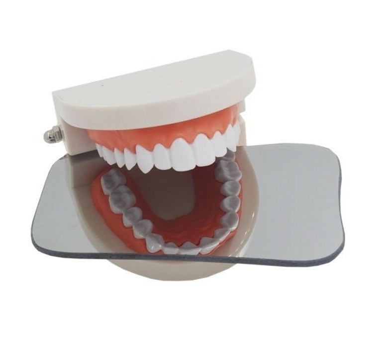 5Pcs Dental Orthodontic Photo Mirrors Glass Intra Oral Mouth Mirror Reflector