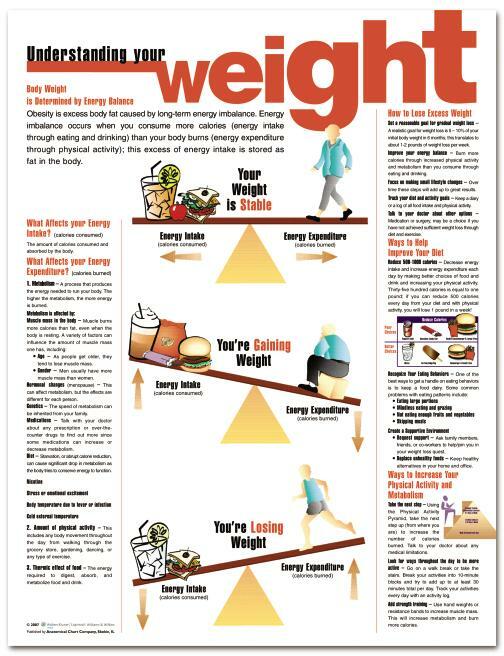 WEIGHT Laminated Wall Chart 20″ x 26″ Classroom/Professional LFA #93201