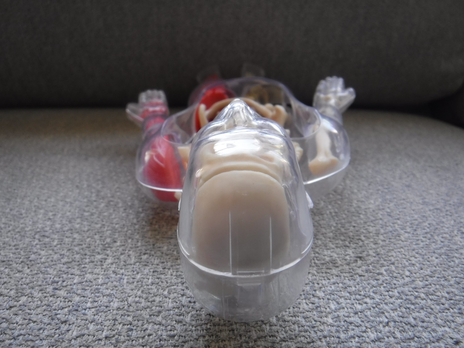 Human Body Anatomy Model 13″ Invisible Man Skeleton heart brain muscles lungs