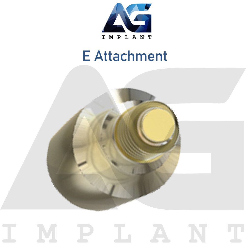 2 Straight E Attachment Hard Set Titanium Overdenture Int Hex
