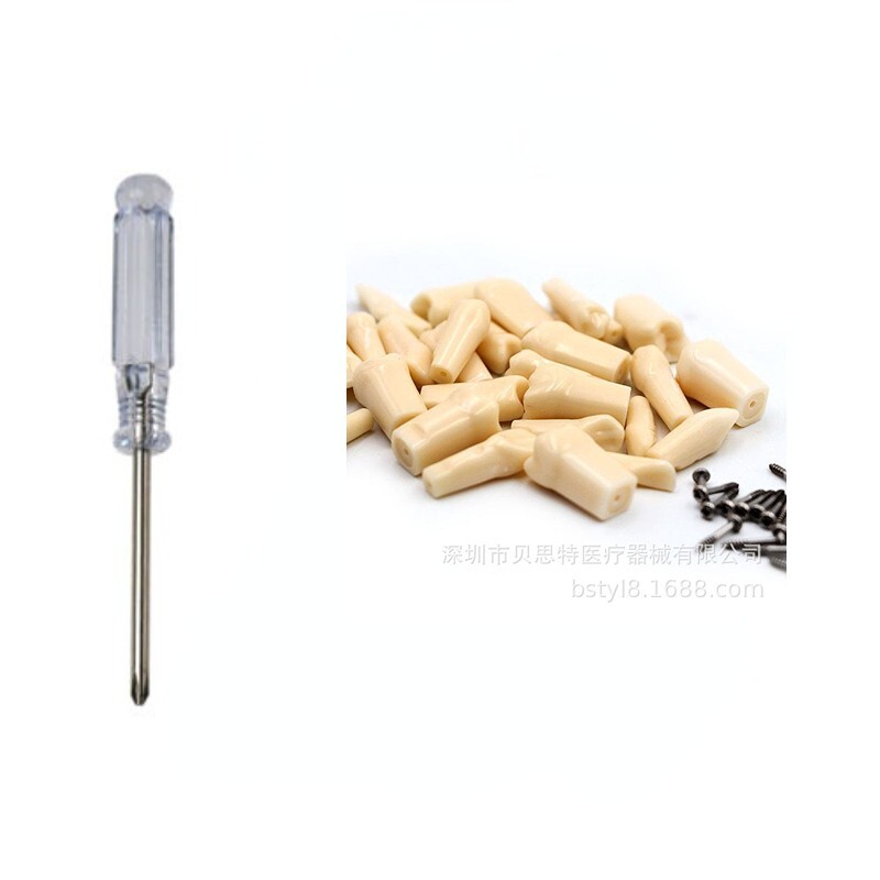28 Pcs Dental Typodont Teeth Model Kilgore NISSIN 200 Type Removeable Teeth