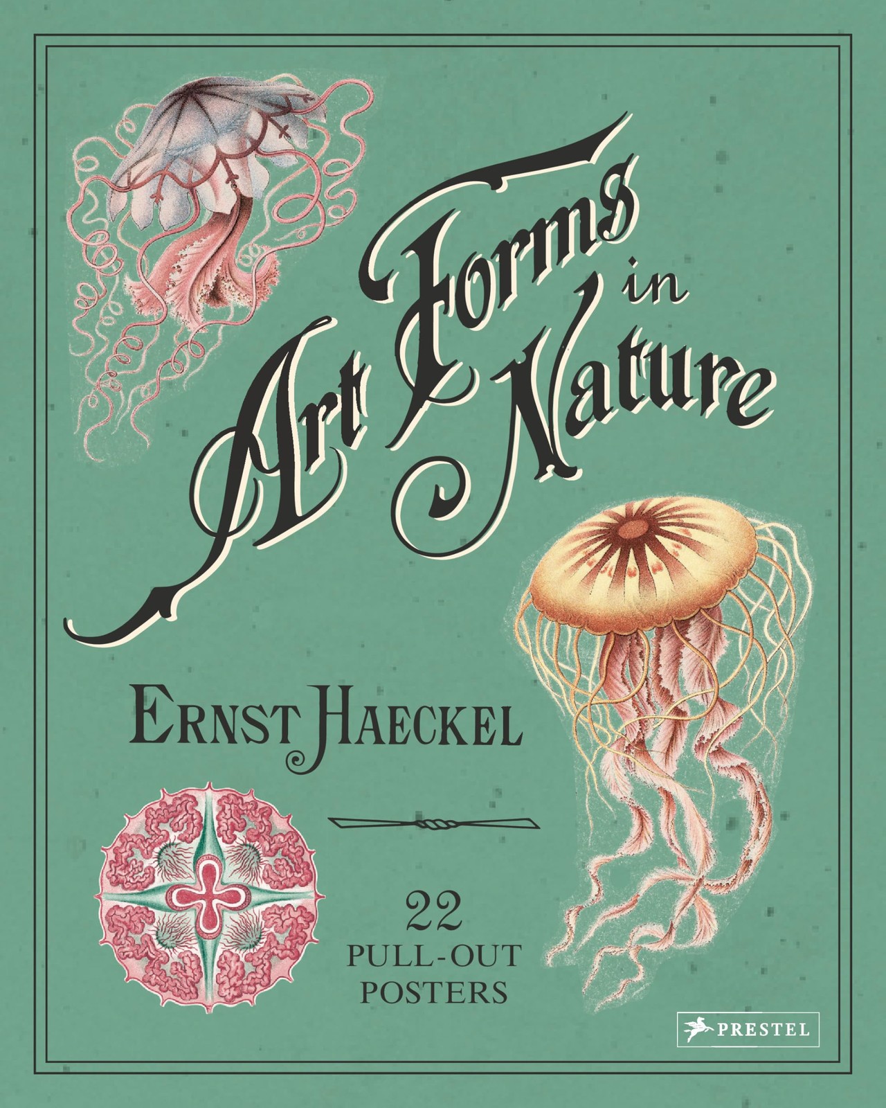 Prestel Art Forms In Nature 22 Pull-Out Posters