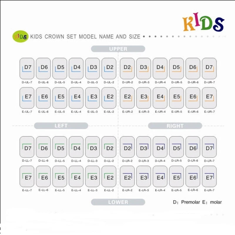 48 Dental Kids Primary Molar Crowns Stainless Steel Pediatric crown 48 Sizes USA