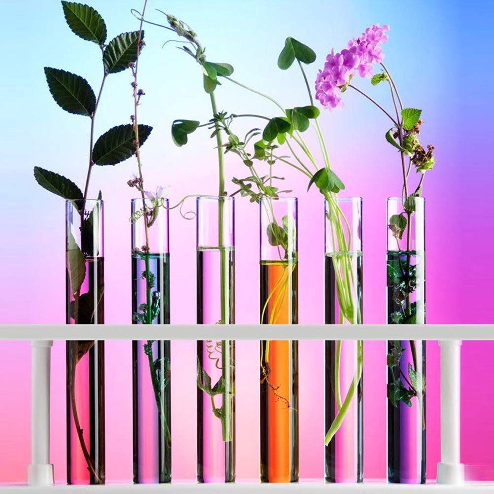 10-100x 15*150mm Glass Test Tubes With Cork Stopper Candy Party Wedding Storage
