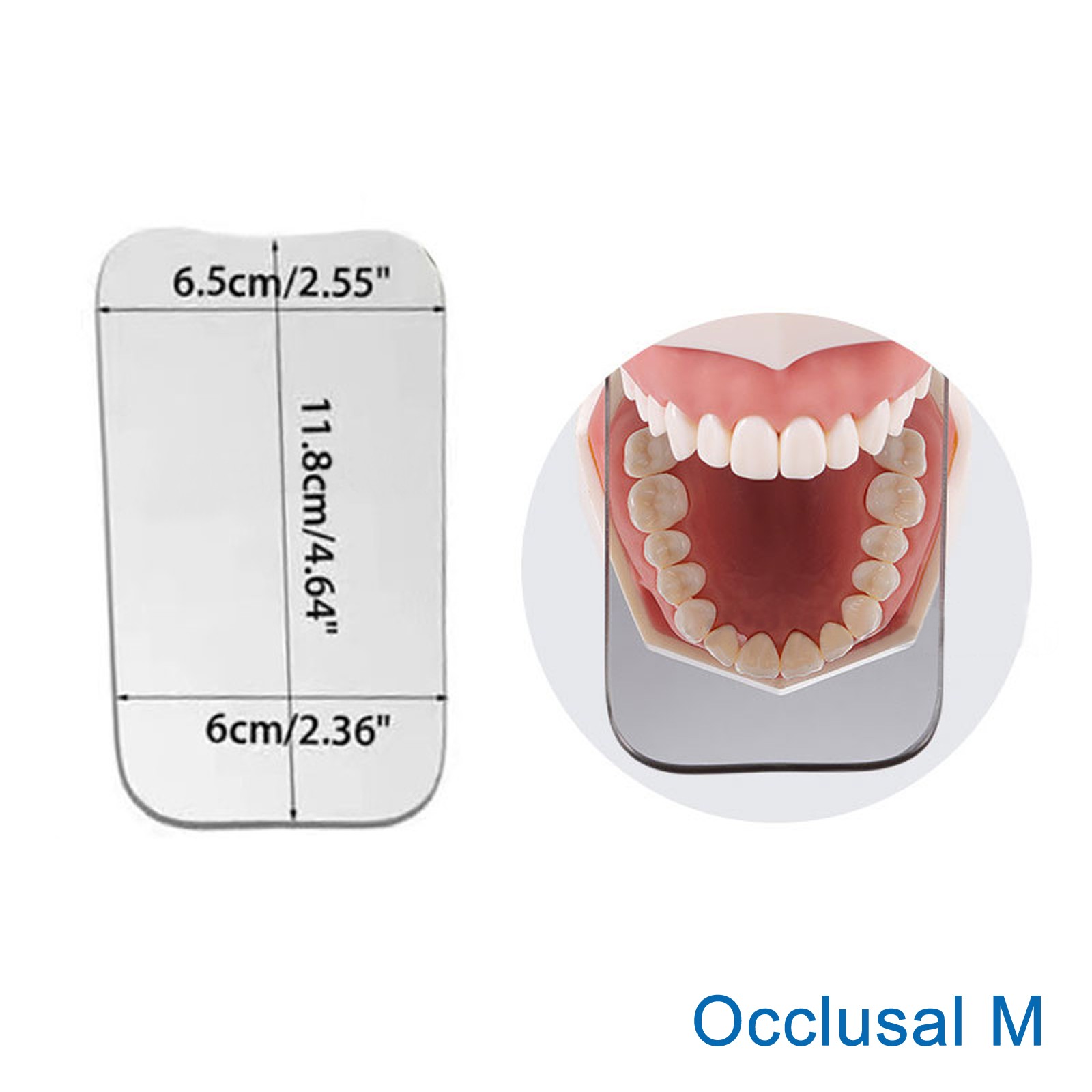 Dental Intraoral Orthodontic Occlusal 2Side Photographic Glass Mirror Photograpy