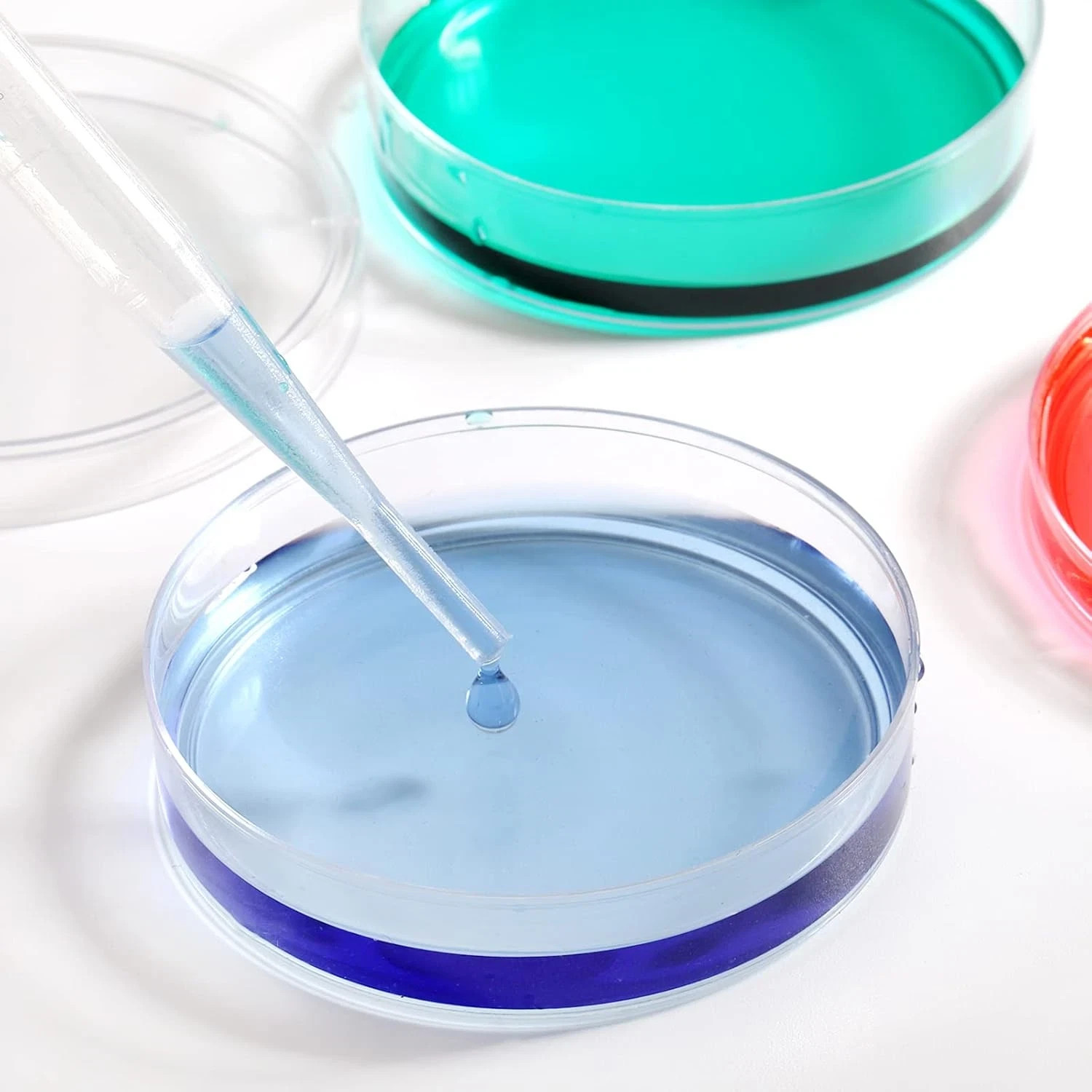 Bekith 100 Pack Plastic Petri Dishes with Lids, 60Mm Dia X 15Mm Deep Sterile Cle