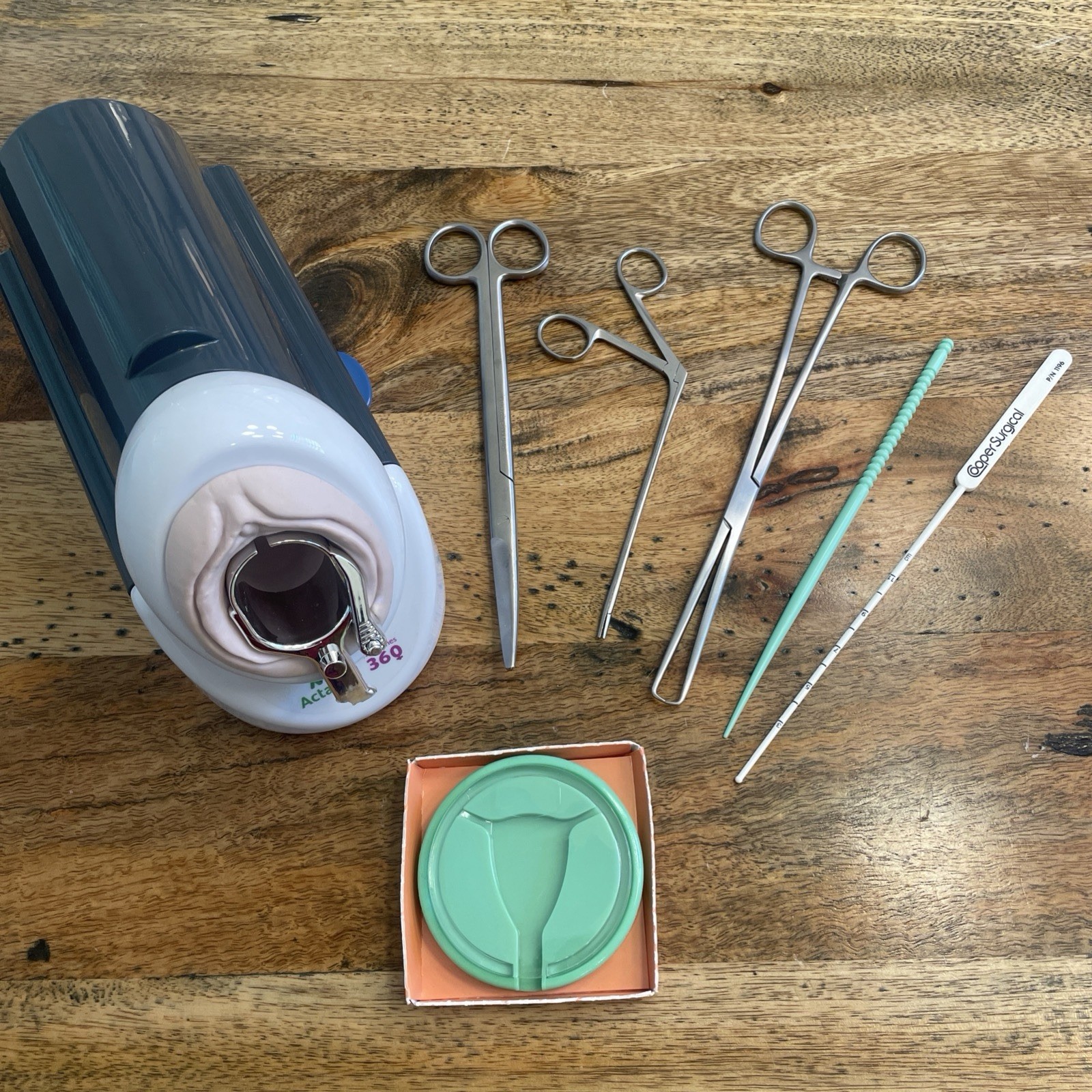 Speculum Training Vaginal Model,Medical Model, Activist Medicines 360, Tools!