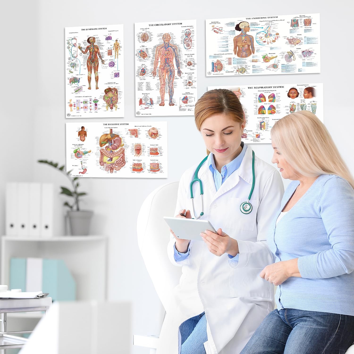 17 Human Anatomy Posters for Classroom & Office – 18×30 Medical Charts