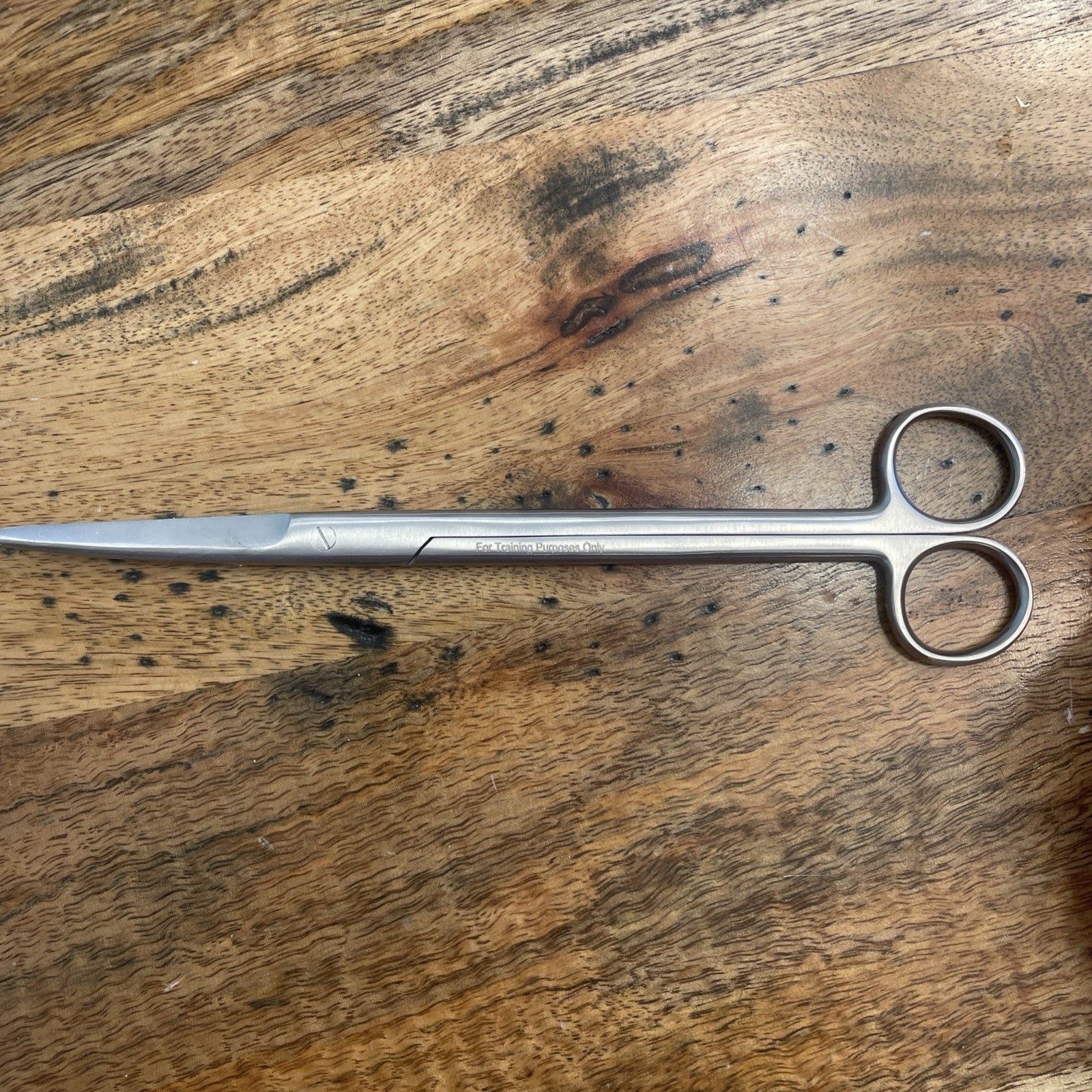 Speculum Training Vaginal Model,Medical Model, Activist Medicines 360, Tools!