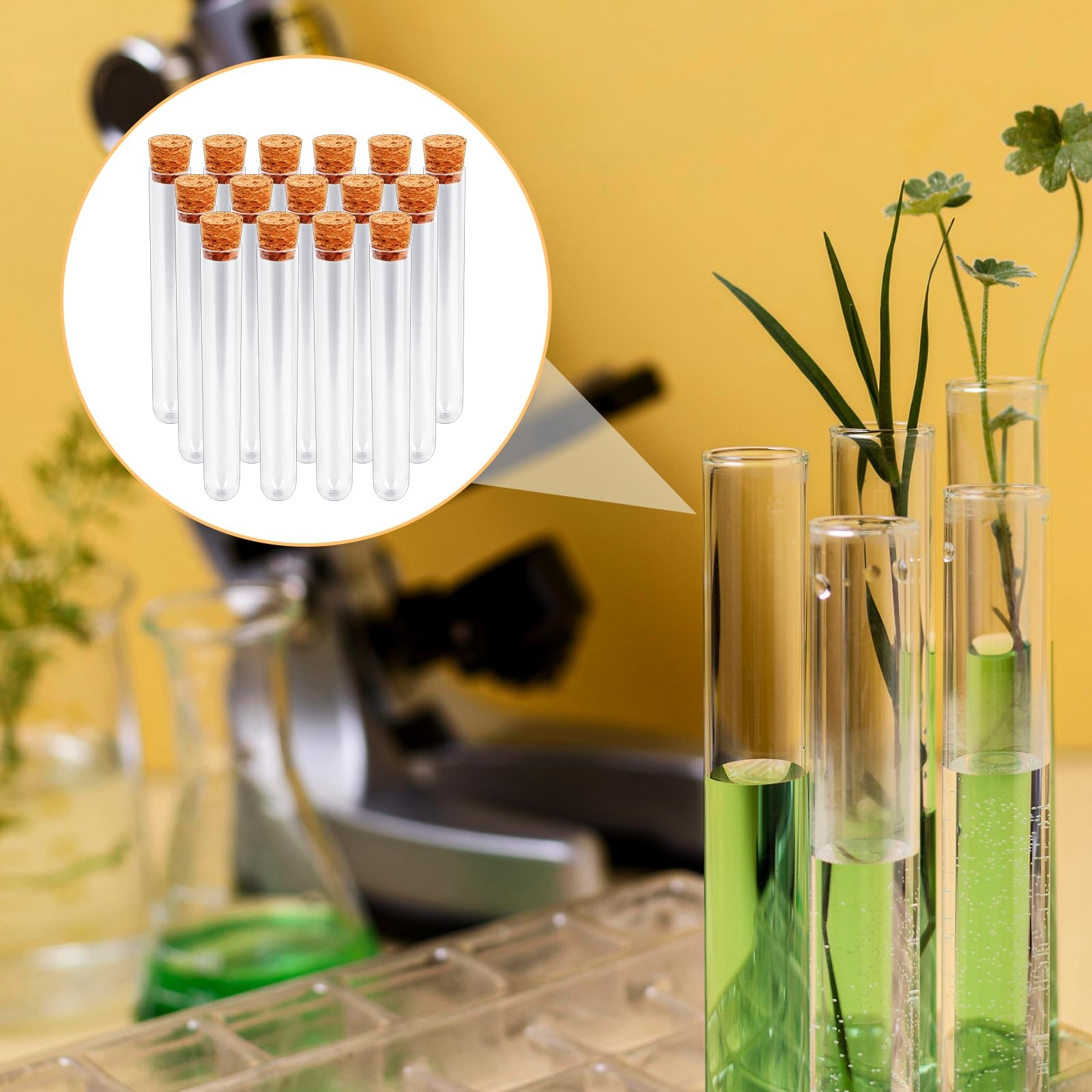 15x100mm (15ml) Plastic Test Tubes with Lids, Clear Vials with Seal Cap Conta…