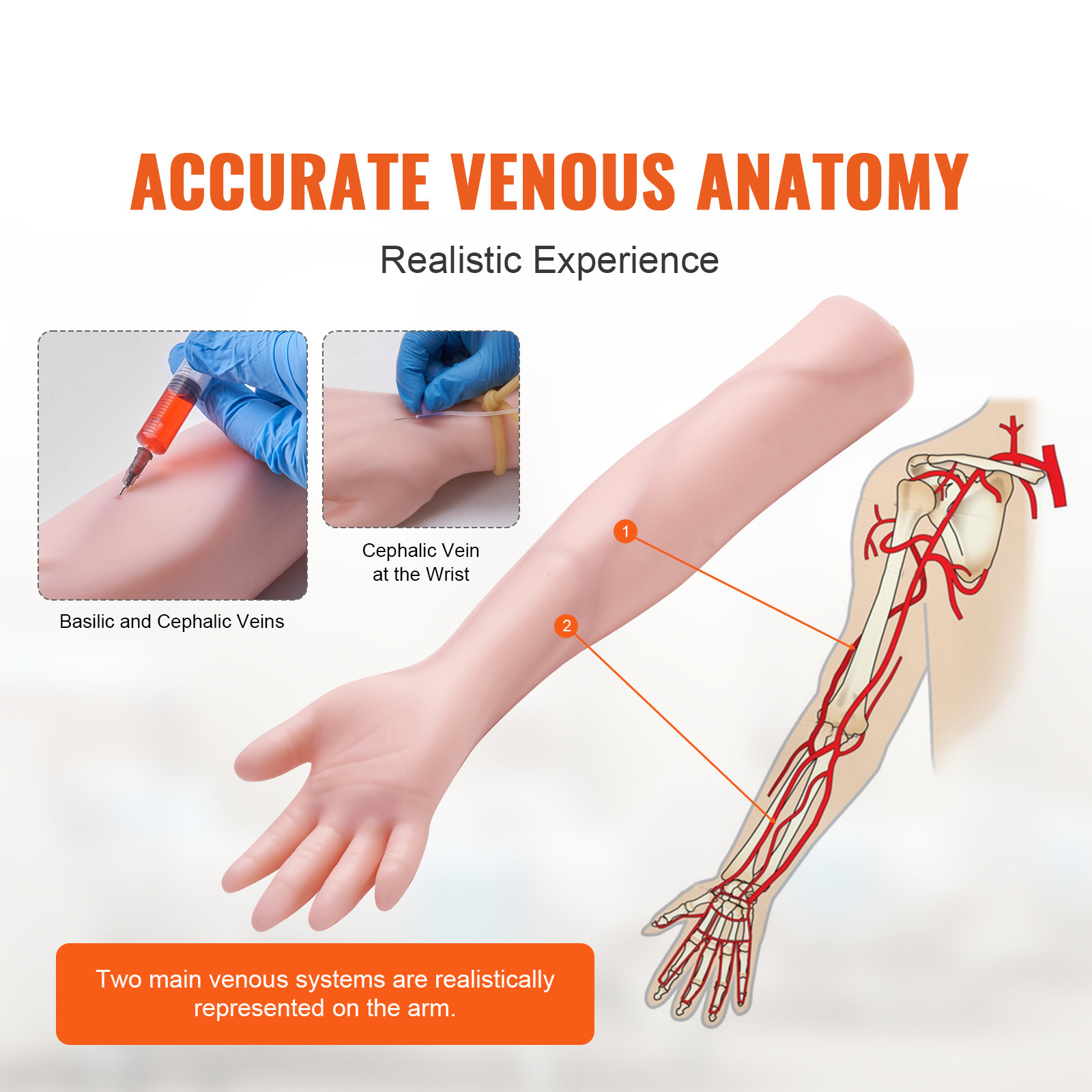 VEVOR IV Practice Kit Phlebotomy Venipuncture Practice Arm for Students Nurses