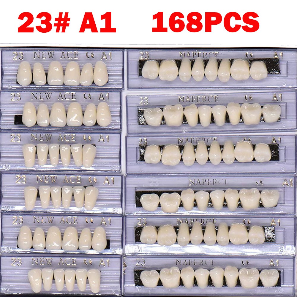 168Pc Dental Acrylic Resin False Teeth 23# Shade A1 Denture Full Upper Lower NEW