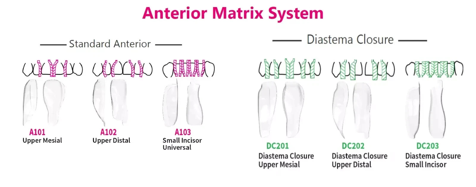 Dental BioClear Anterior Matrix Refills Dental Material Pack Of 12pcs