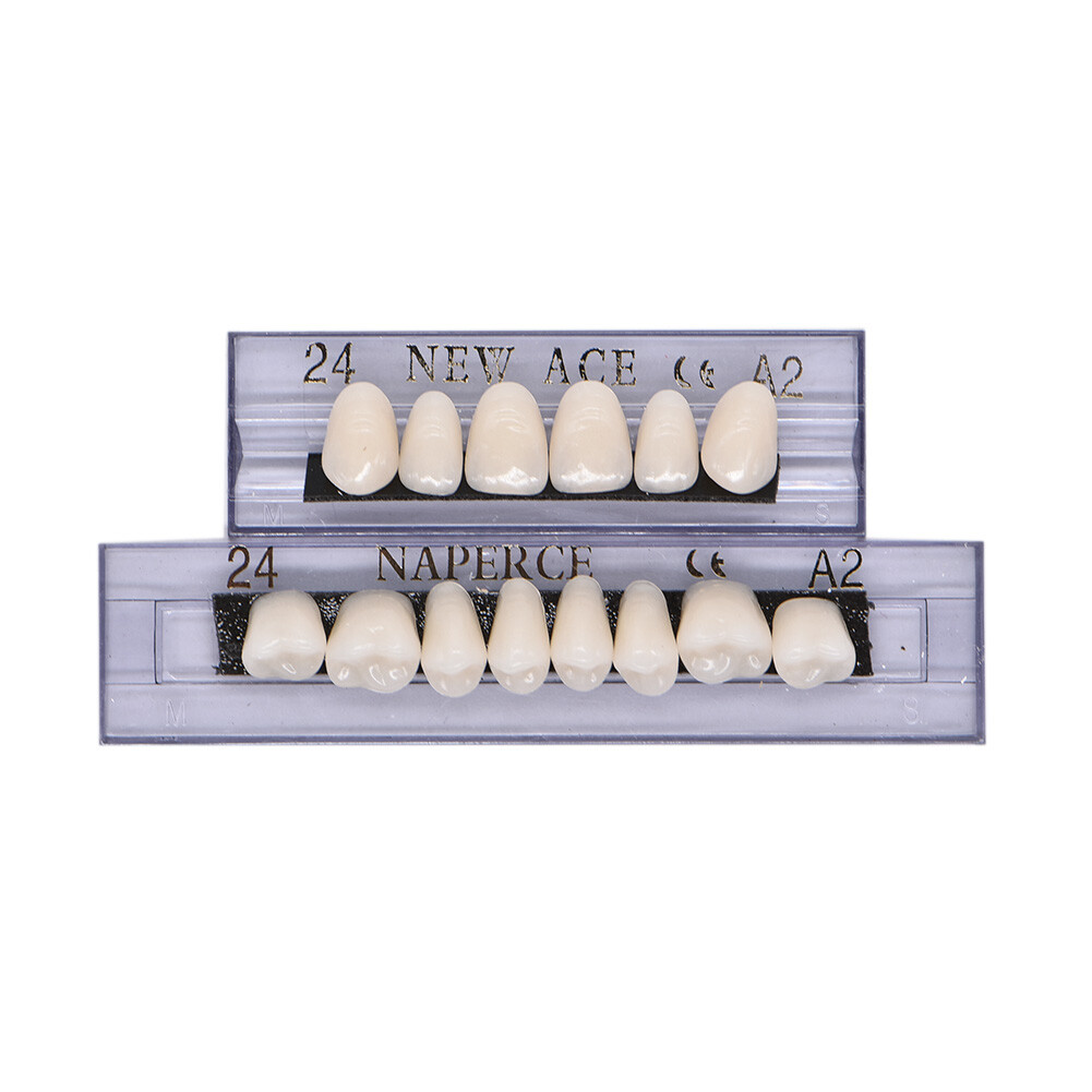 168Pcs Acrylic Resin Denture #24 Dental Upper Lower Shade A2 Teeth Set USA