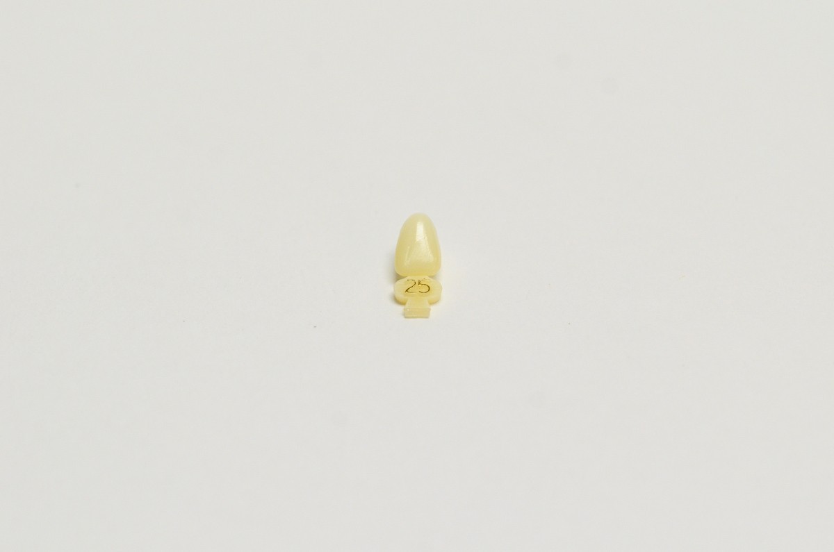 DENTAL POLYCARBONATE TEMPORARY CROWNS #25 (ULL) UPPER LEFT LATERAL 5/PACK