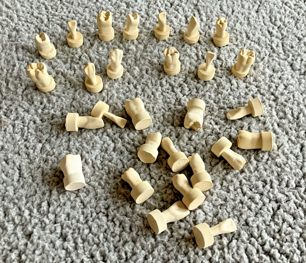 DENTAL TEETH Models 28 pcs Typodont Demonstration For Students Teach Tooth Study