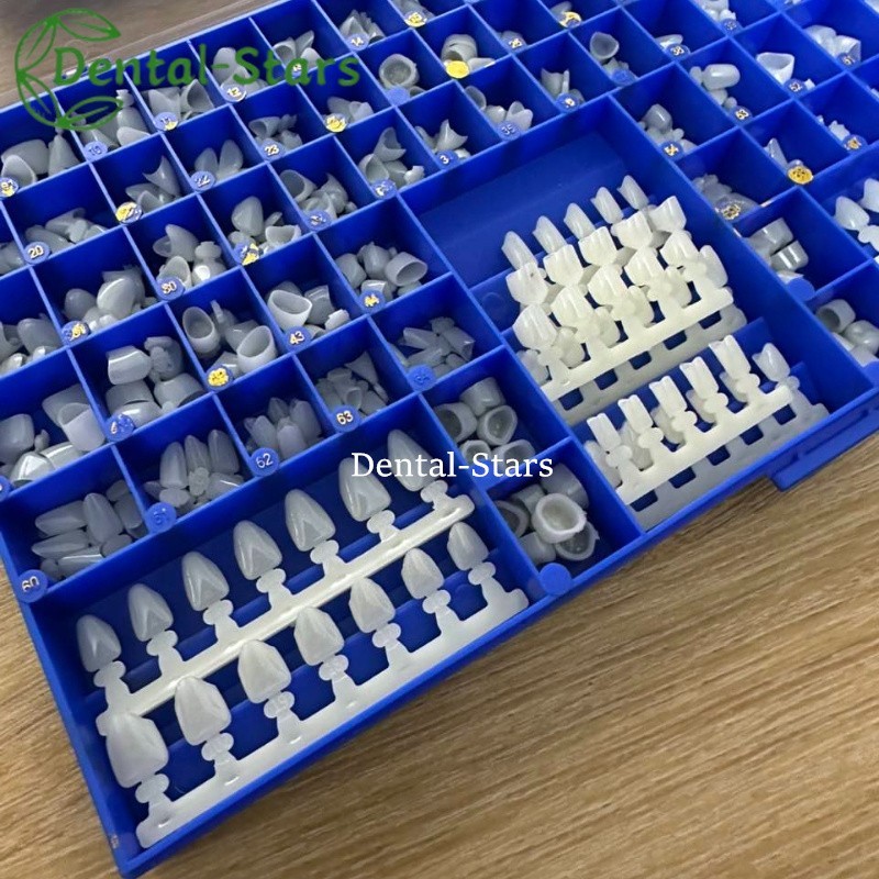 Dental Polycarbonate Temporary Crowns 66 Sizes Anterior Cuspid Resin Crown 390Pc