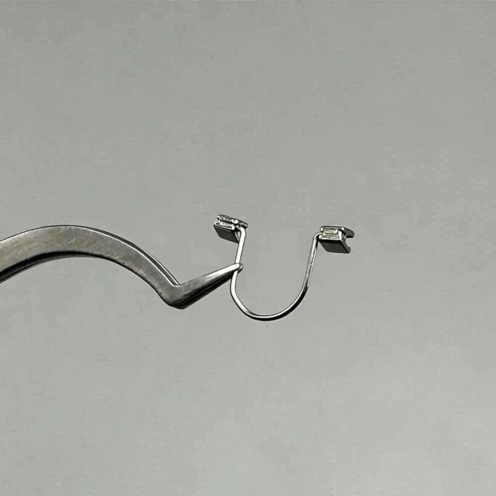 10Pcs/Pack Dental Ortho Single Anterior Teeth Torque Rectangular Spring StopHook