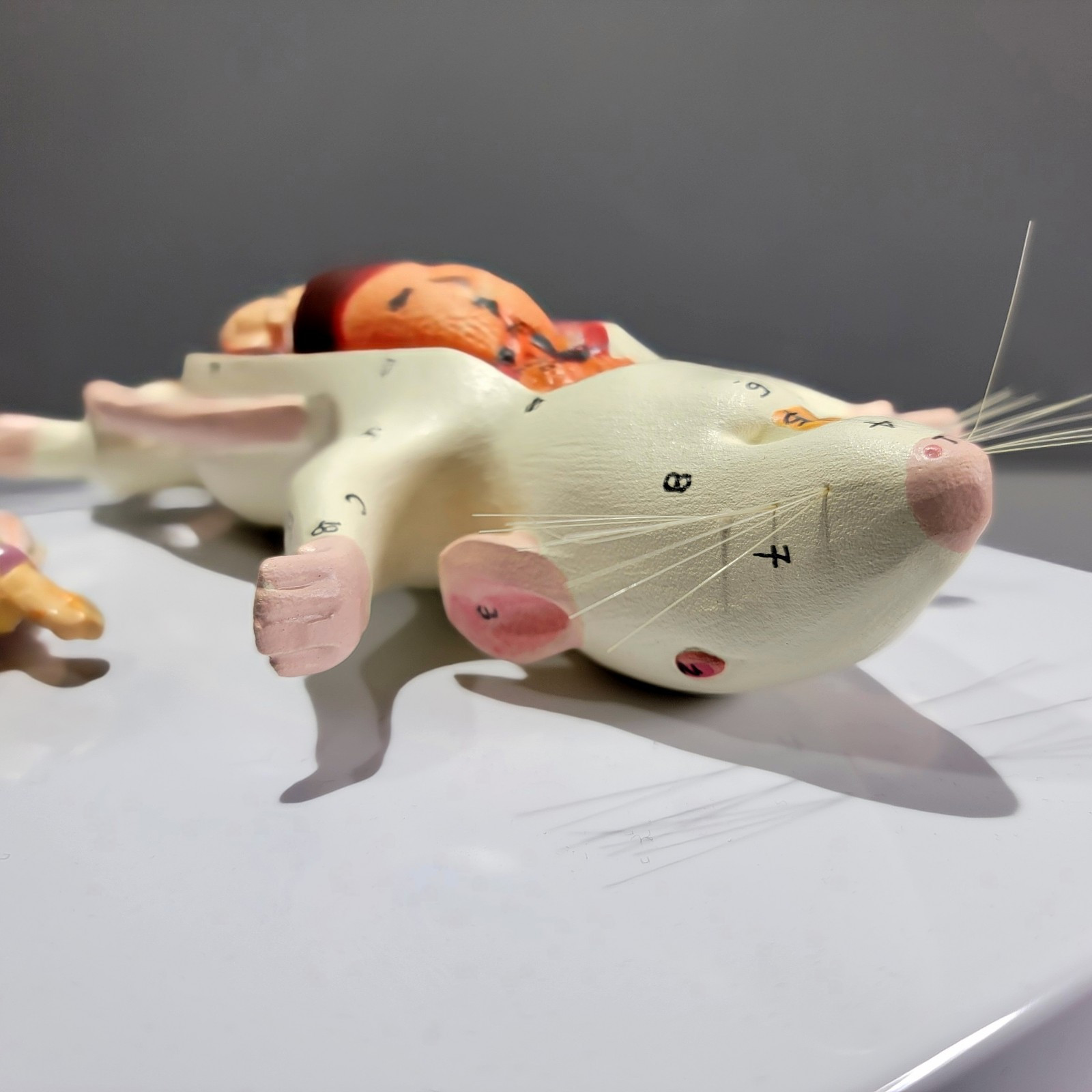 Dissected Rat Anatomical Model, Rat Autopsy Medical Display