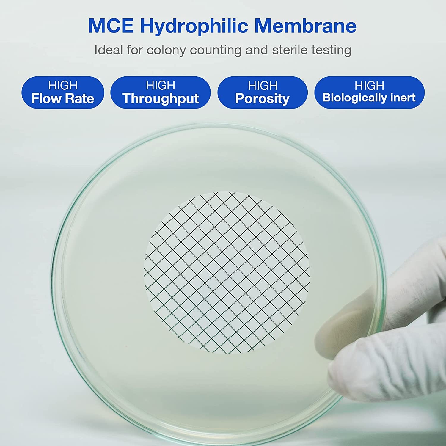 10000PCS 0.45µm/47mm Sterile LAB Membrane Filter Gridded MCE Individually Packed
