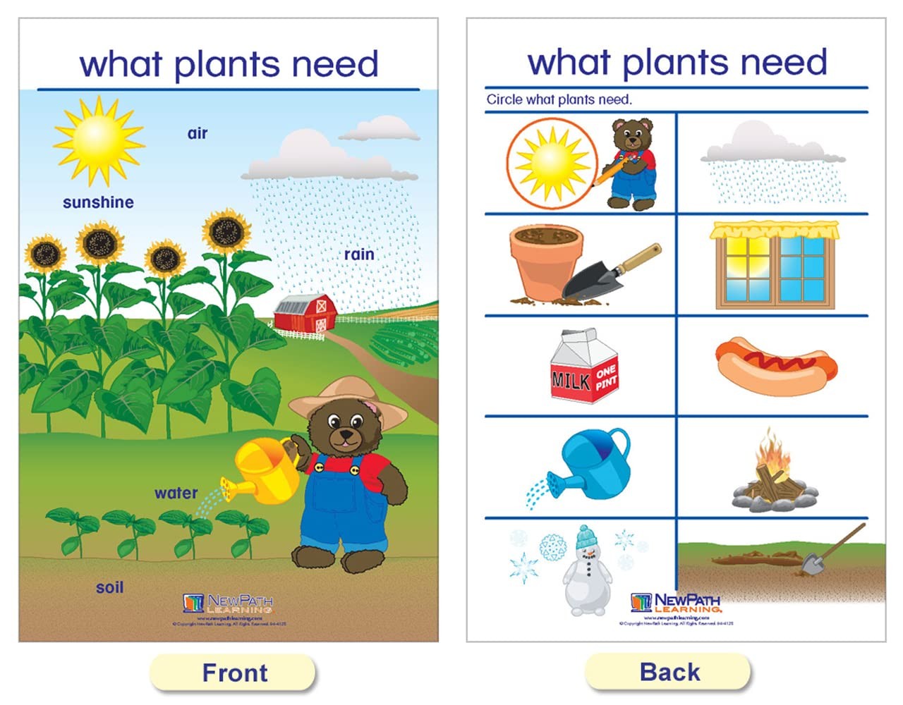 Newpath Learning Newpath All About Plants Bulletin Board Charts – English