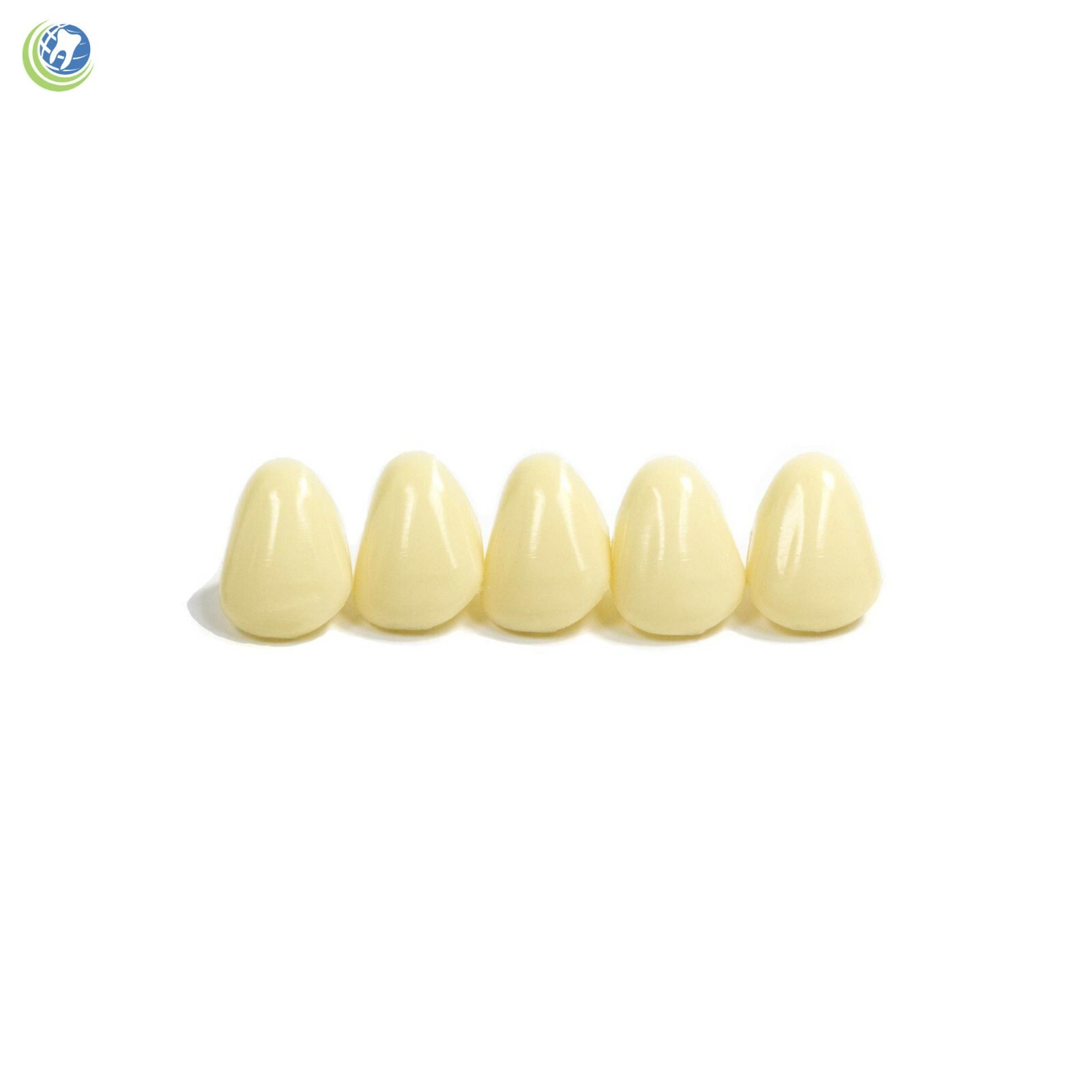 DENTAL POLYCARBONATE TEMPORARY CROWNS #10 (URC) UPPER RIGHT CENTRAL 5/PACK