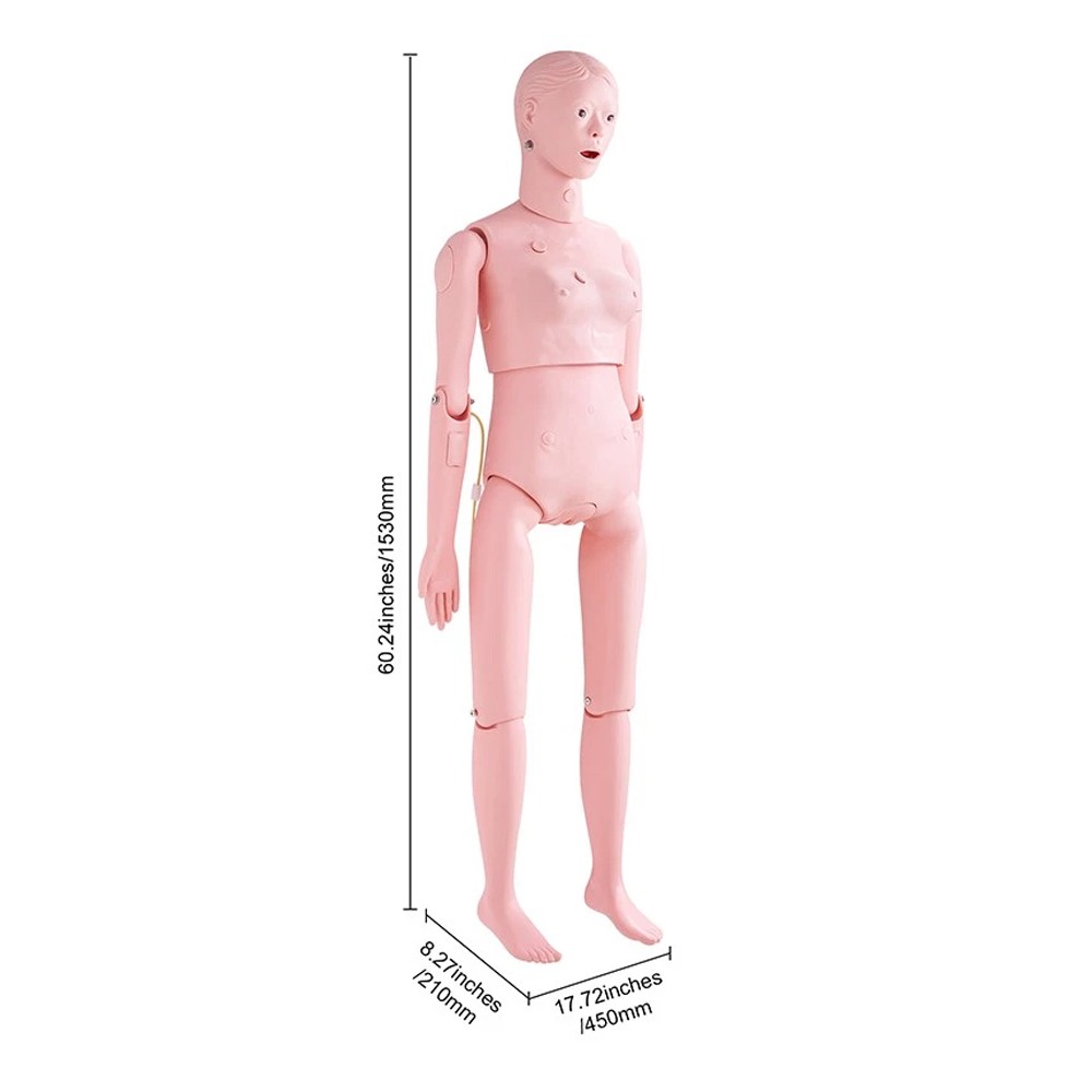 Female Manikin Model Anatomical Nursing Training Teaching Patient Care Practice