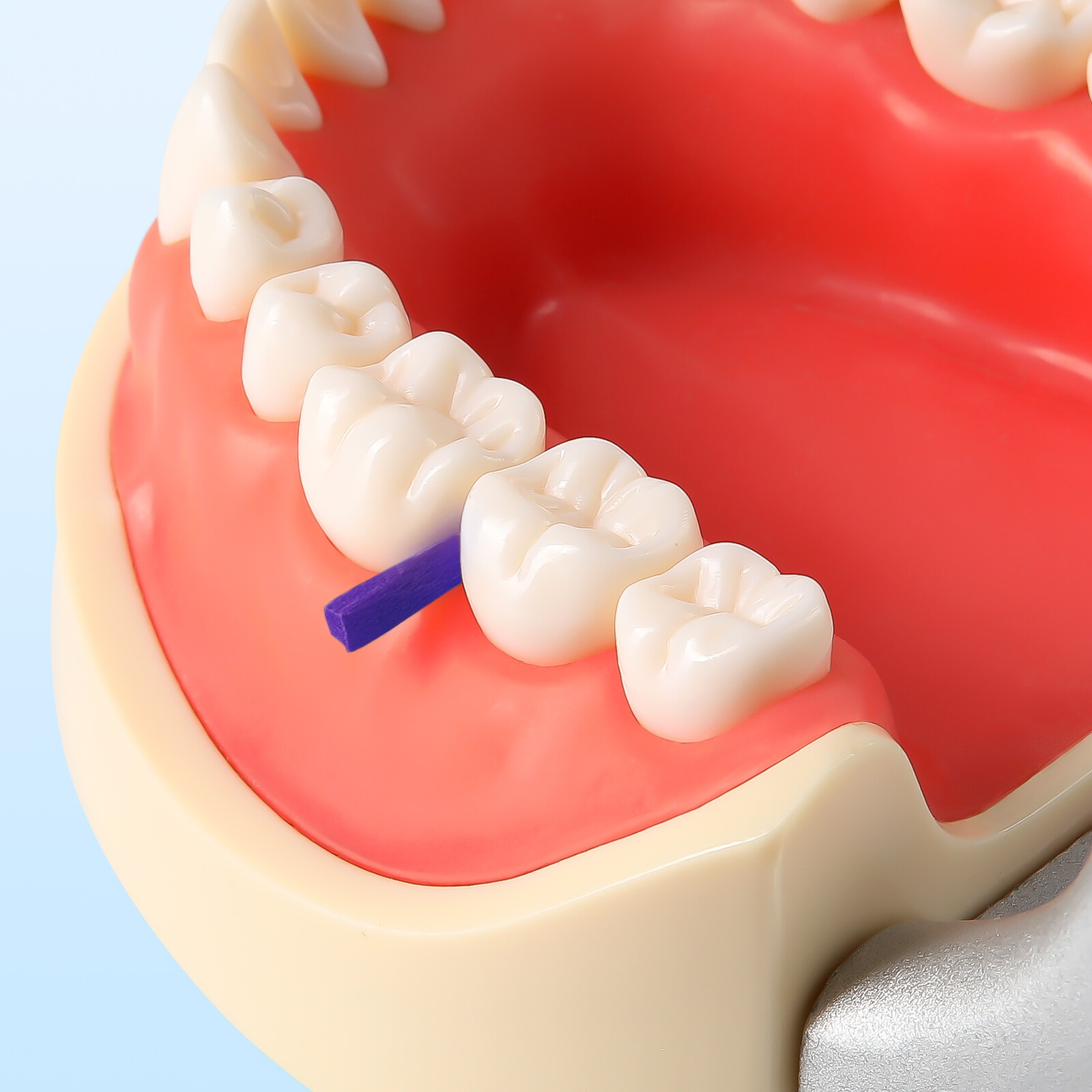 500PCS JMU Disposable Dental Colorful Wooden Wedges