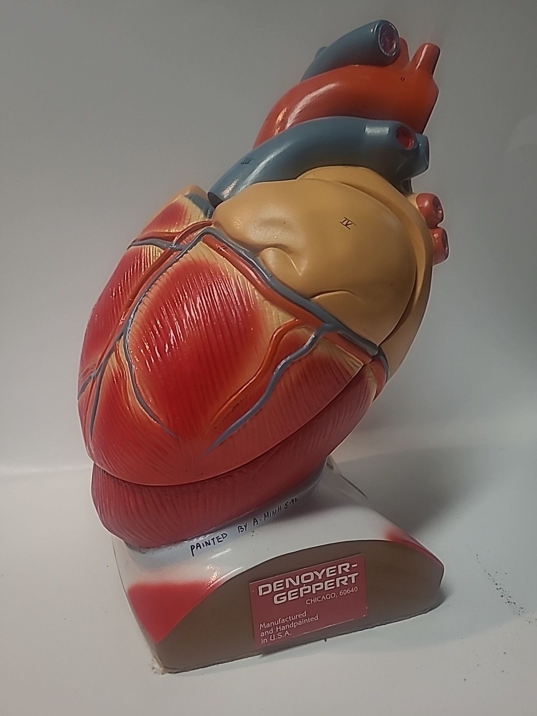 Vintage Denoyer-Geppert Heart of America Model, Working Hinged Flaps