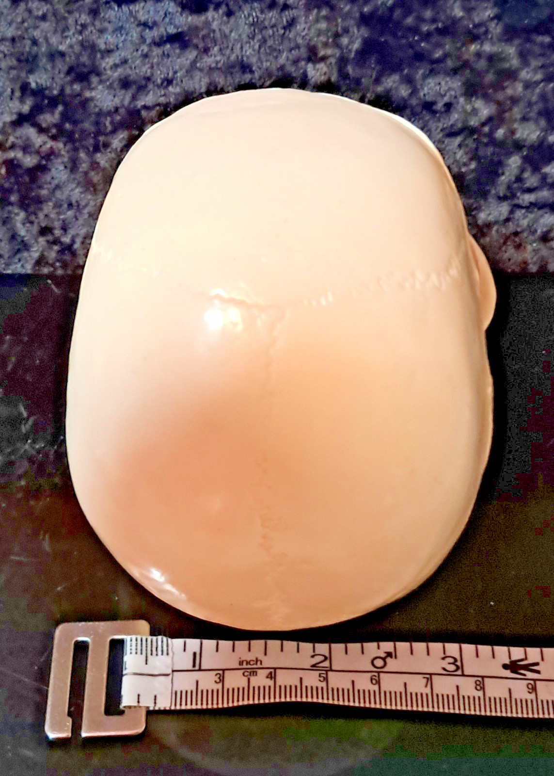 Vintage 4″x4″x4″ Heavy Plastic Human Skull & Brain Anatomical Teaching Model