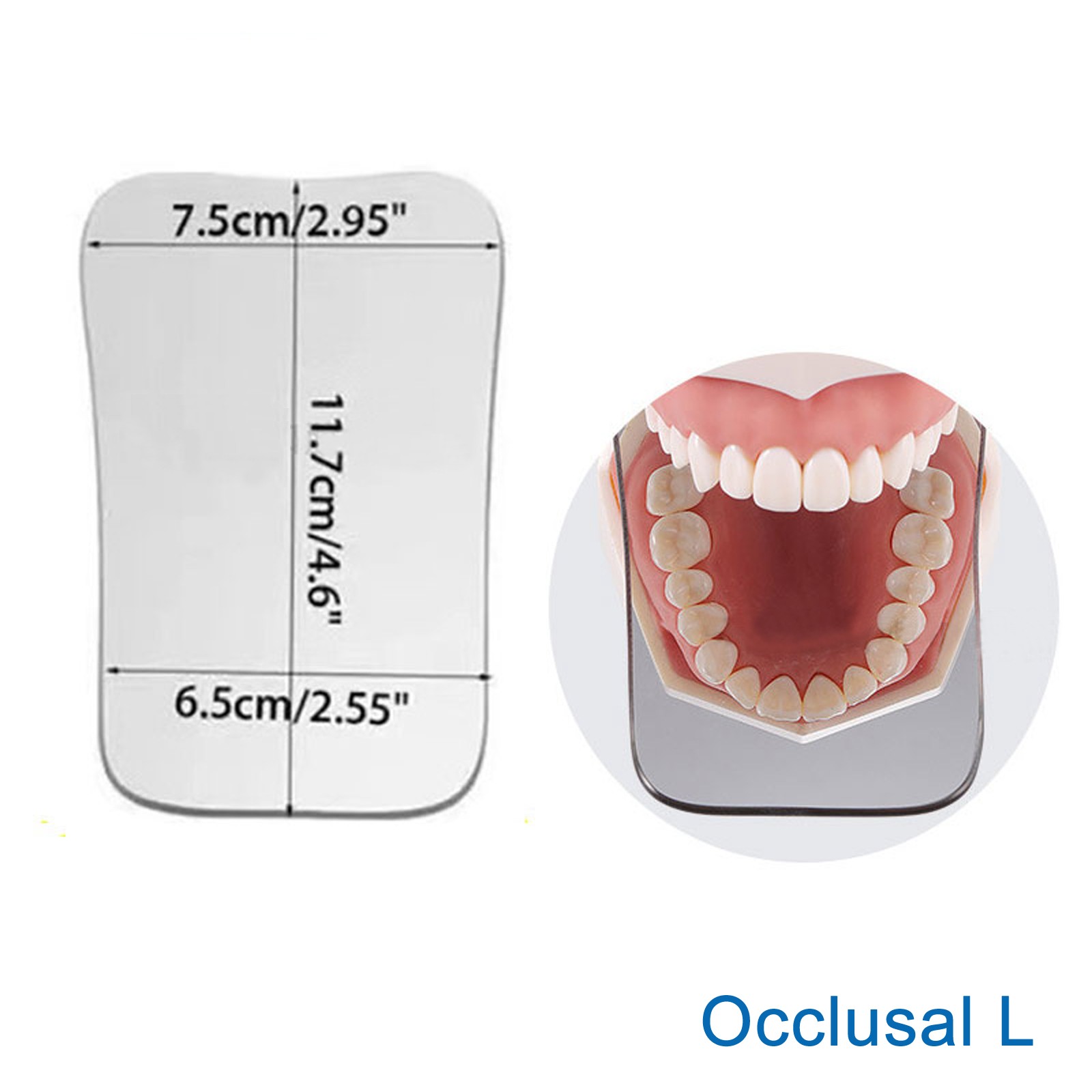 Dental Intraoral Orthodontic Occlusal 2Side Photographic Glass Mirror Photograpy