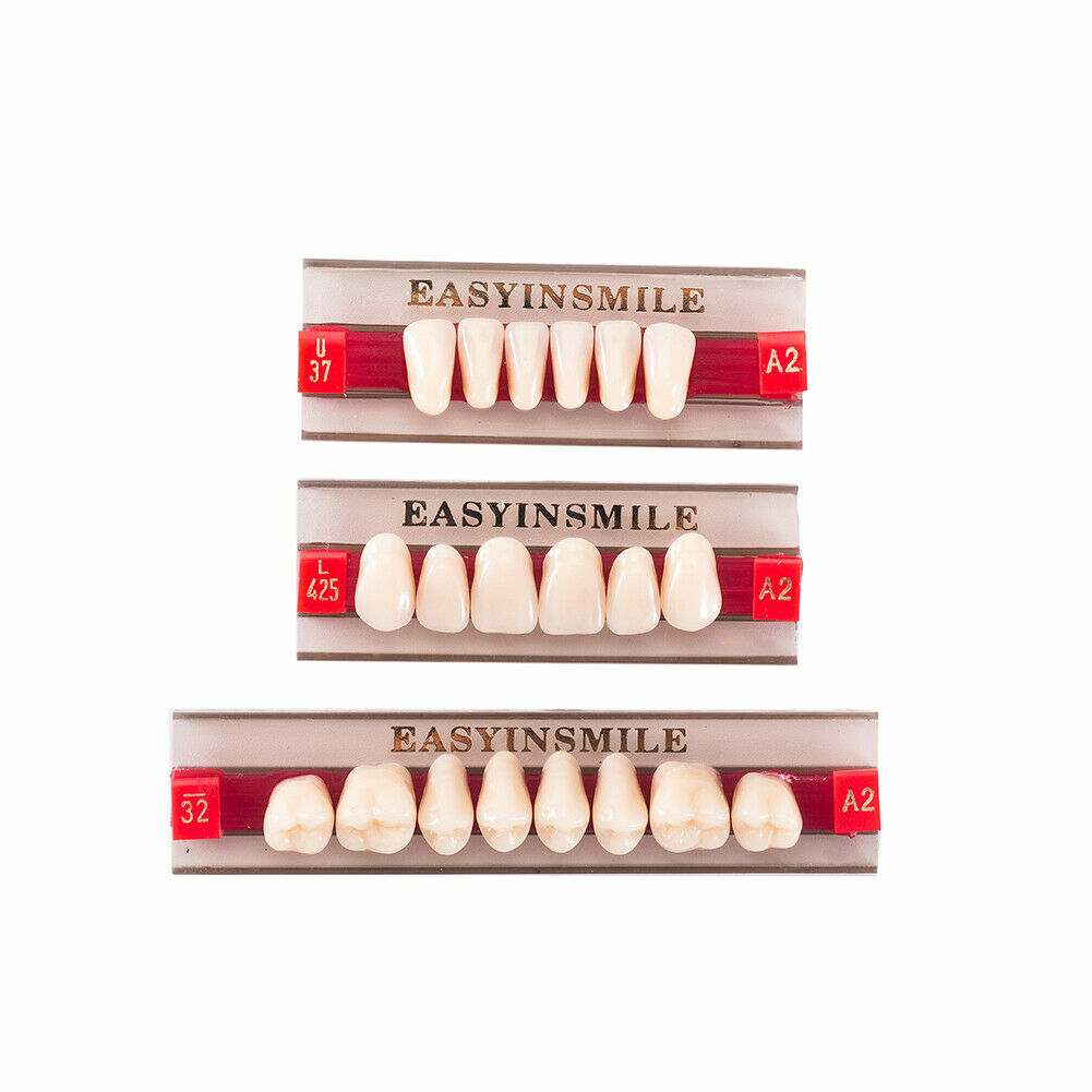 Dental Teeth Set Dental Acrylic Resin Denture A1/2/3 Tooth Posterior Upper/Lower