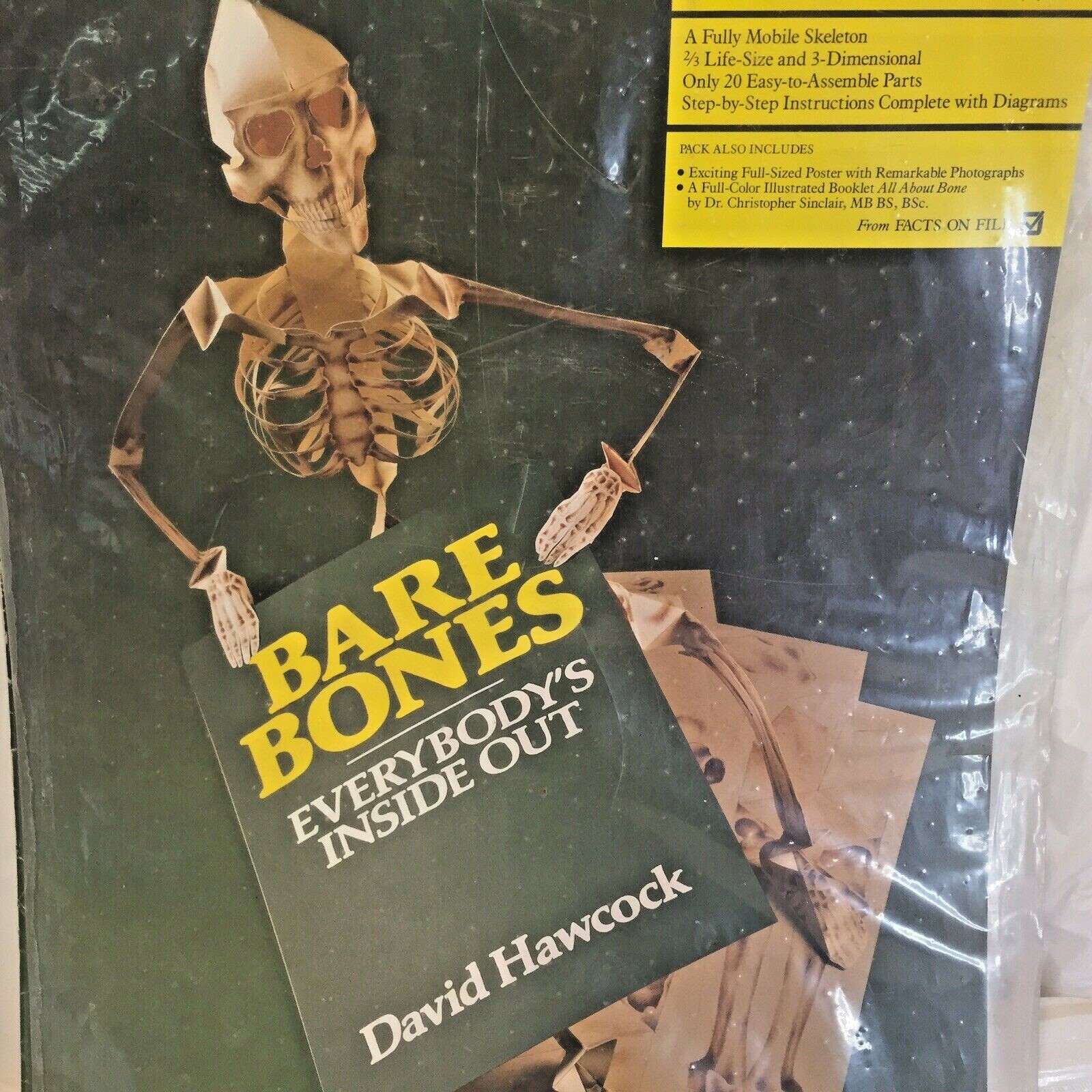 Vtg Halloween Bare Bones Human Paper Mobile Skeleton Model by David Hawcock NIP
