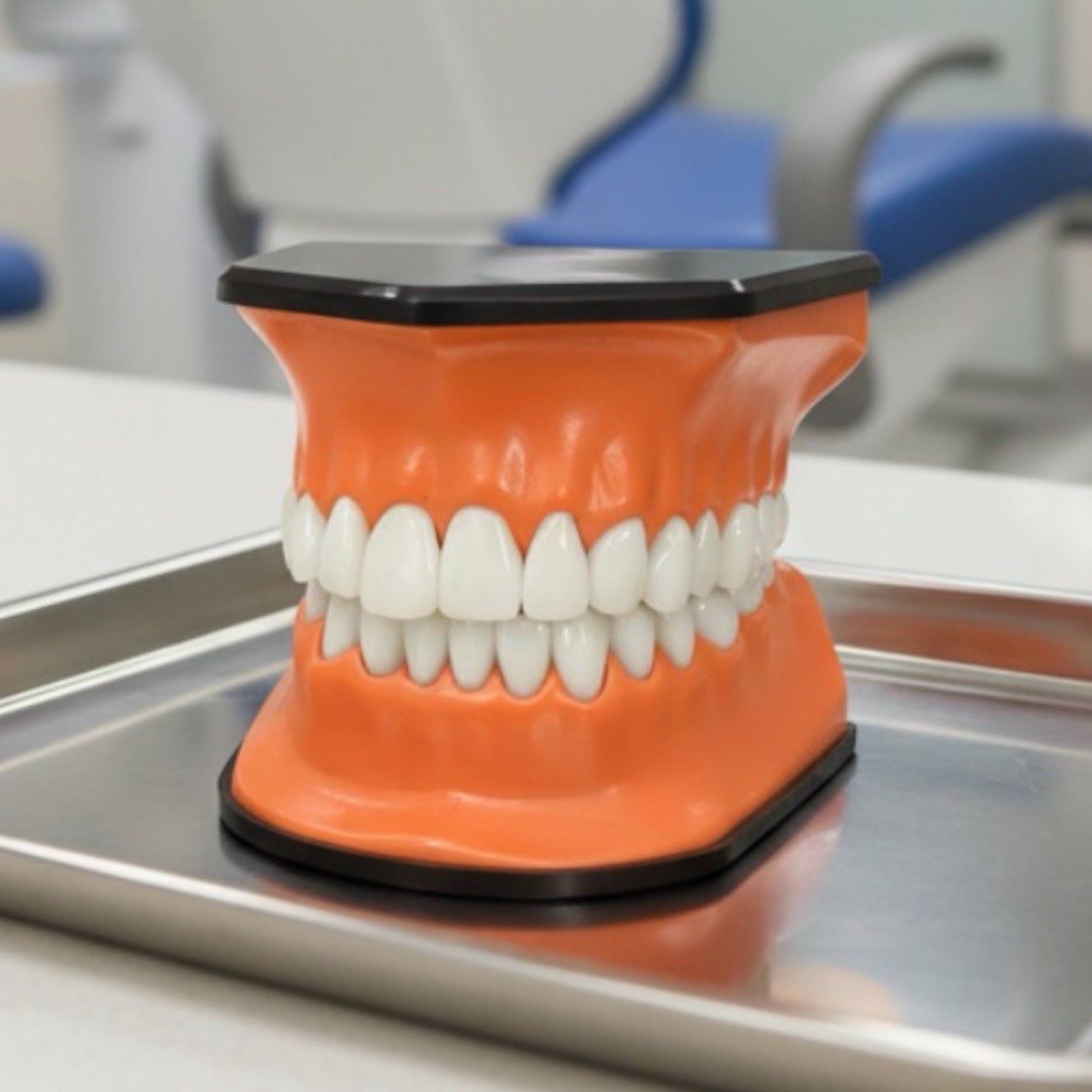 Henry Schein TP-100 Oversized Oral Teaching Dental Patient Education Display