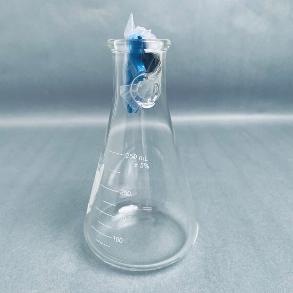 Corning Filtering Flask 250 ml with Replaceable Tubulation Total of 2 Flasks