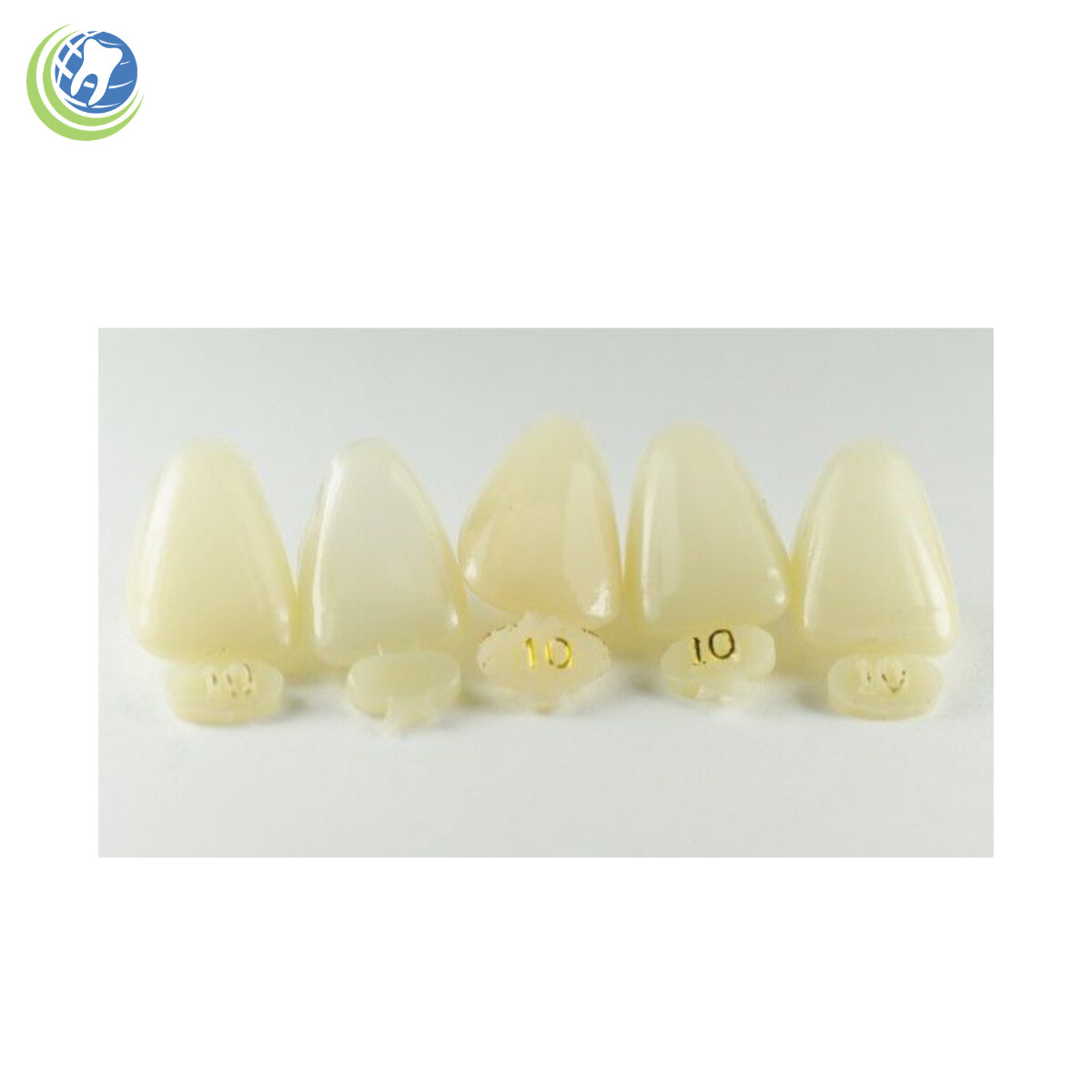 Tooth #8 Upper Right Central Anterior (URC) Polycarbonate Temporary Crown Refill