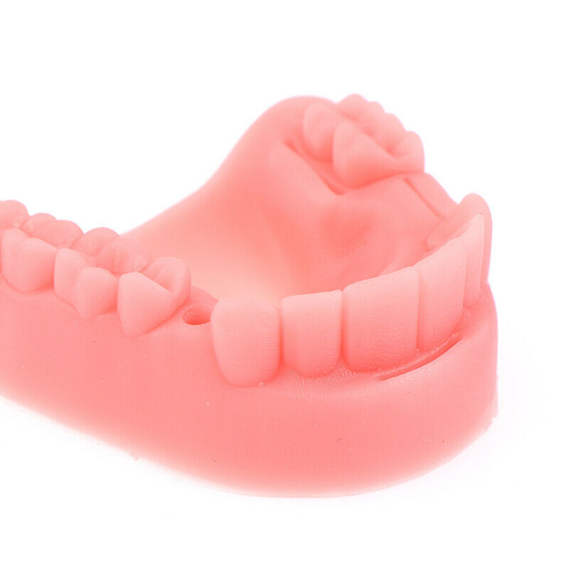 Dental Simulation Model Gum Training Dentist Practise 3/0 4/0 5/0