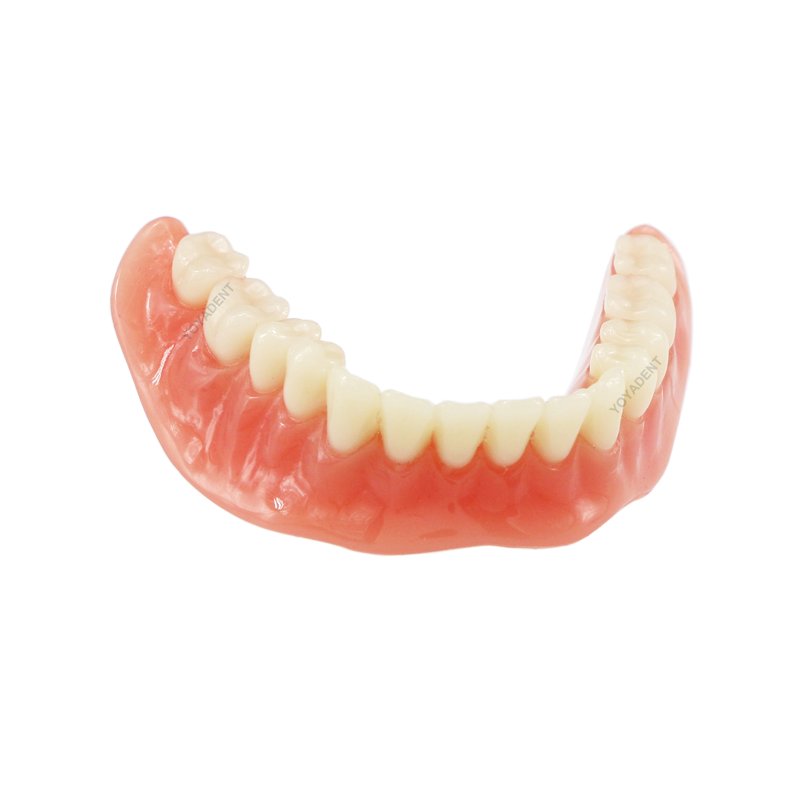 US Dental Teeth Model Ortho Implant Practice Teaching With Implants Demo Model