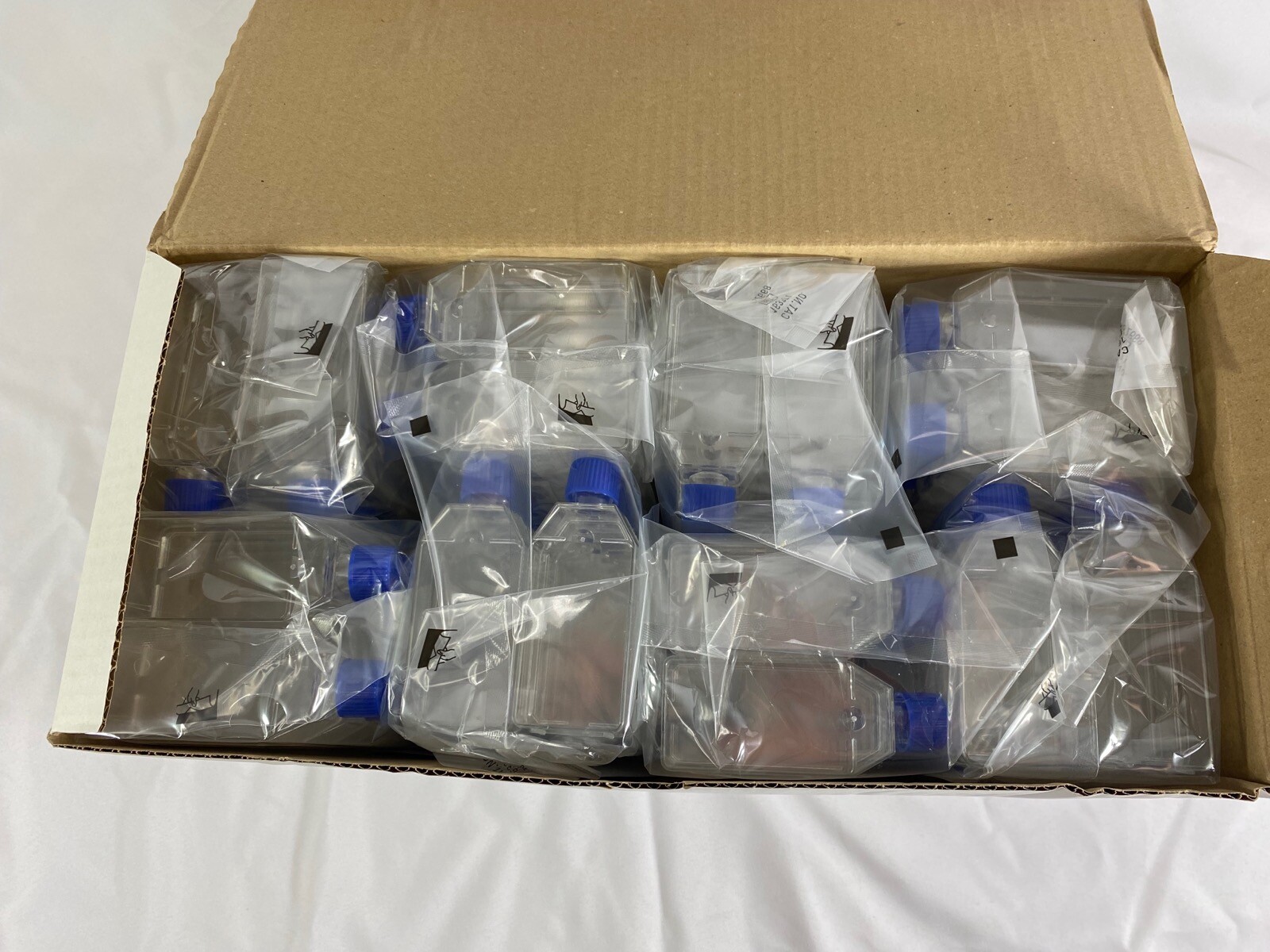 NUNC 25cm2 T25 Flasks Nunclon TC Surface Flat Bottom Solid Cap 163371 (160/cs)