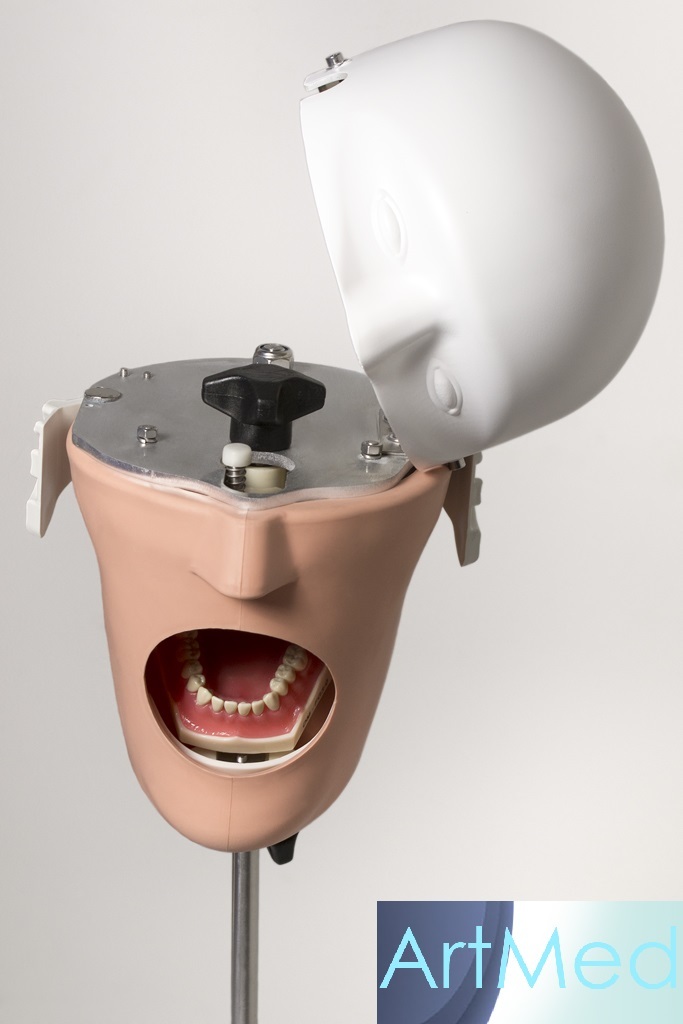 Simulator Manikin Phantom Wall Mount + Typodont ARTMED