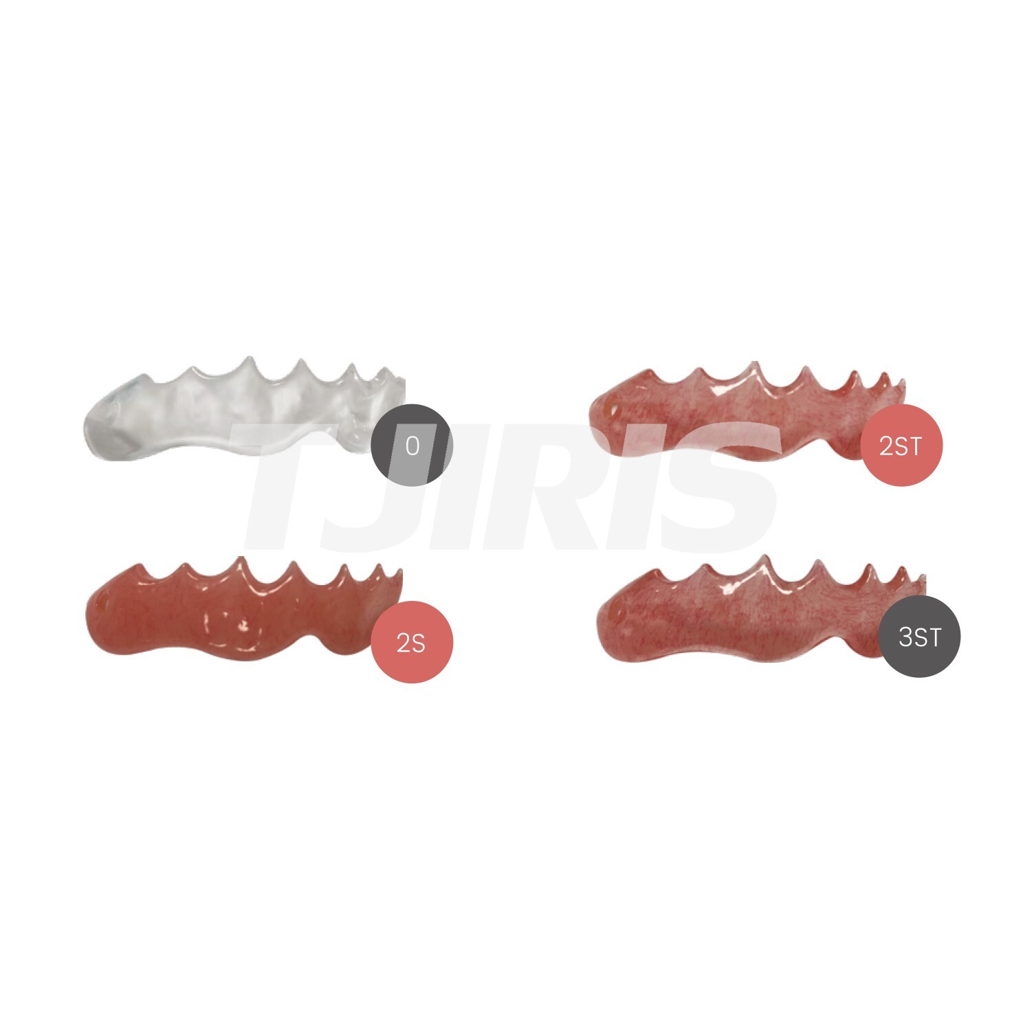 HUGE Dental Fast Heat Curing Polymers Acrylic Denture Base Material 100g
