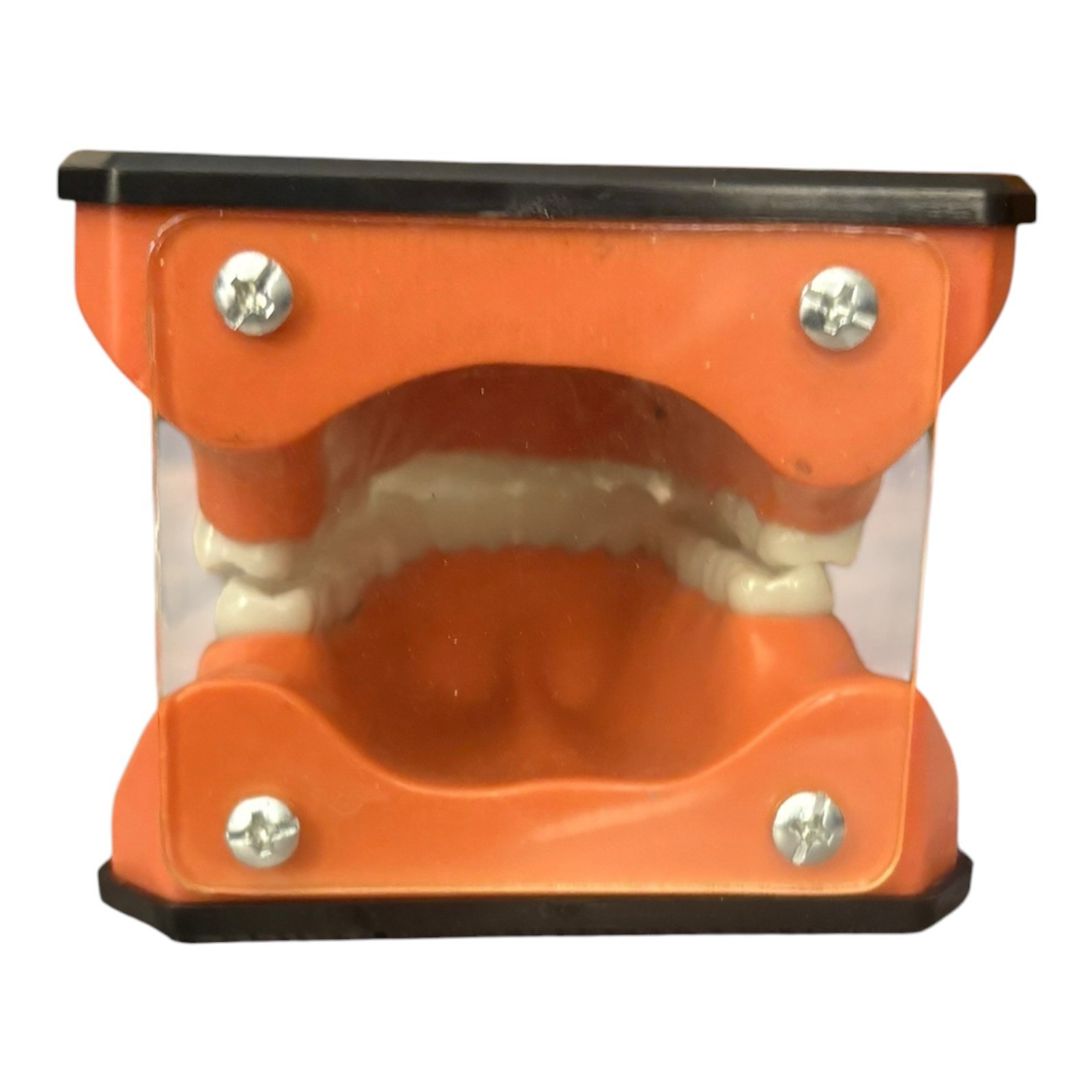 Henry Schein TP-100 Oversized Oral Teaching Dental Patient Education Display