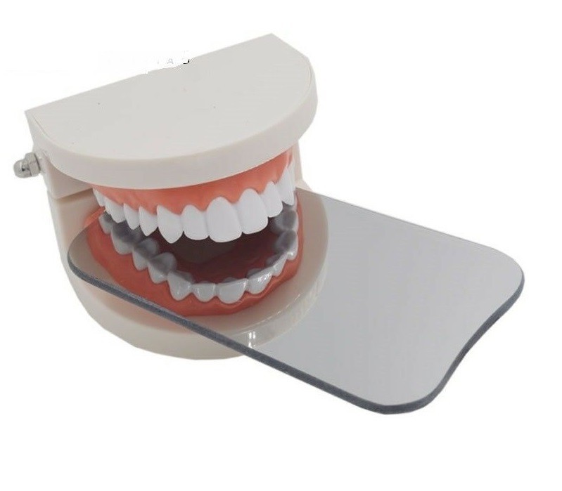 5Pcs Dental Orthodontic Photo Mirrors Glass Intra Oral Mouth Mirror Reflector