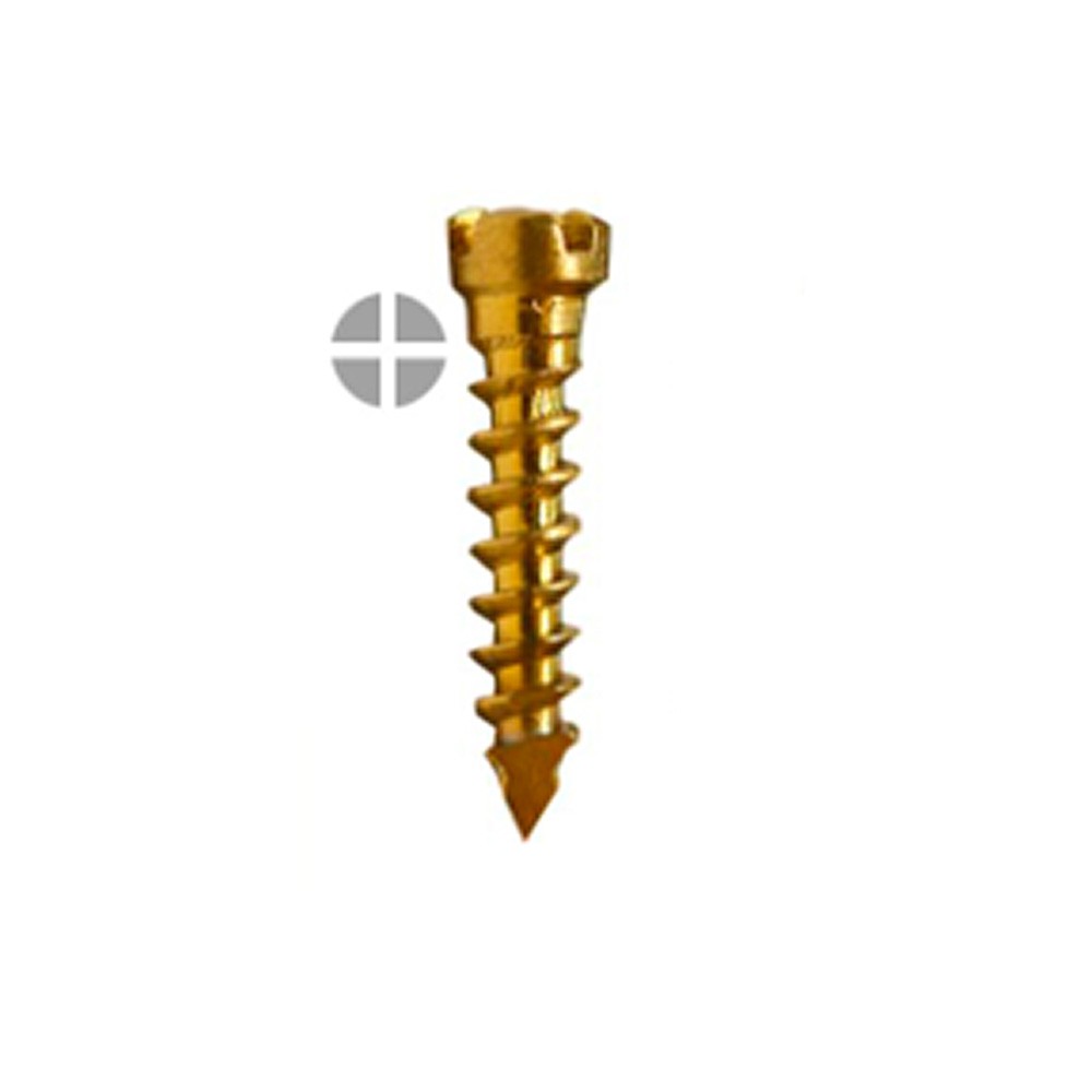 SK Surgicals Titanium Emergency Screws