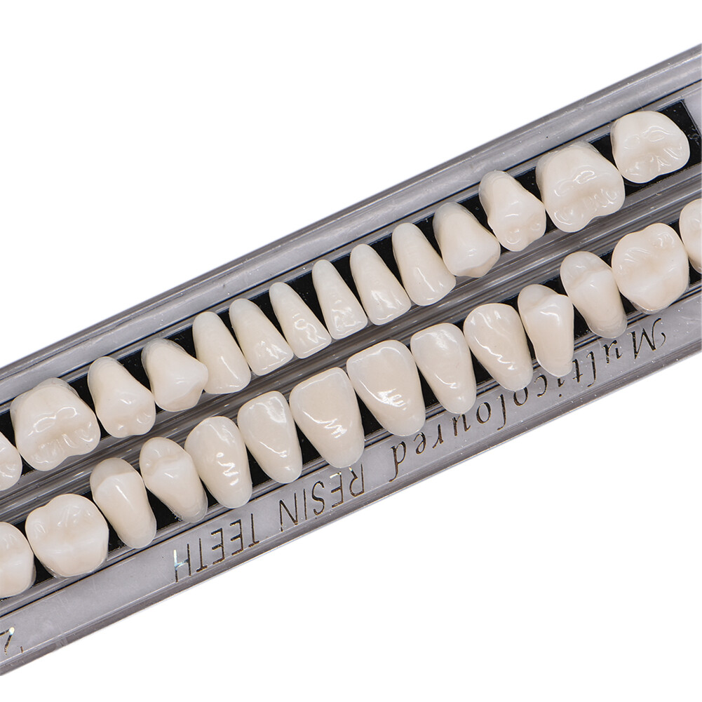 5 Sets Dental Acrylic Resin Denture Shade A2 A3 Upper Lower Full Set False Teeth
