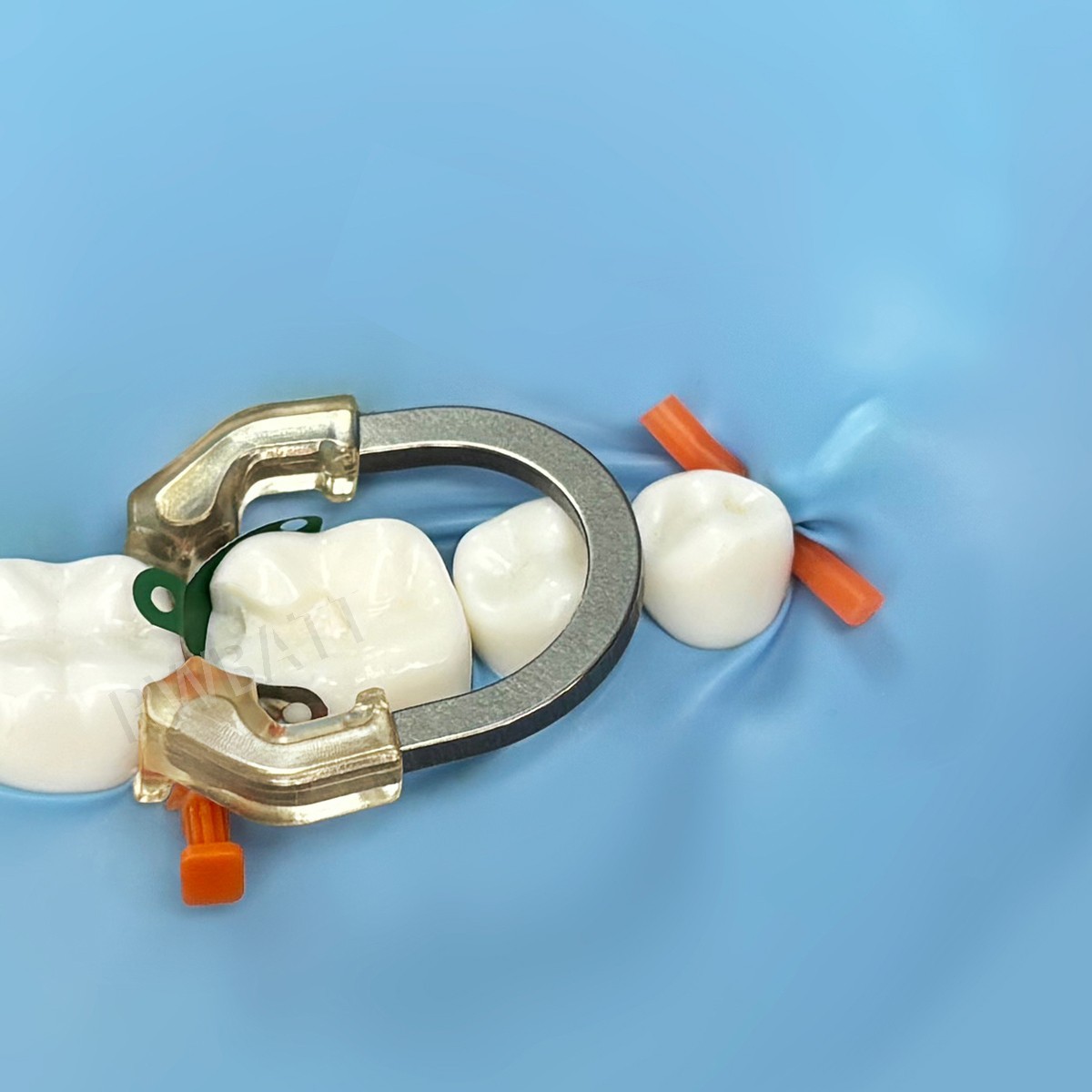 Dental Matrix Bands Ring Sectional Matrix Clamp Clear Matrix Anterior Matrices